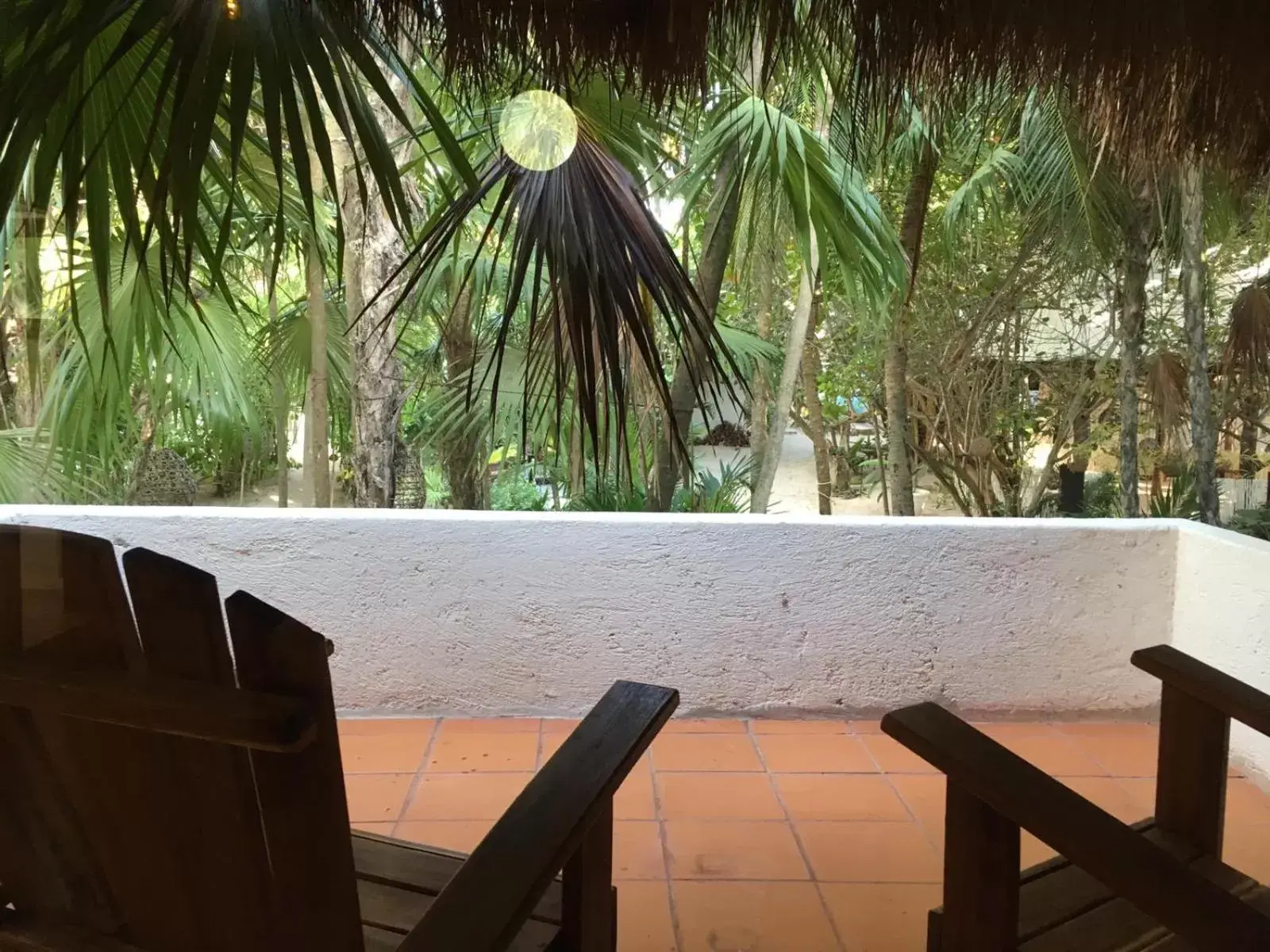 Balcony/Terrace, Swimming Pool in Casa Violeta