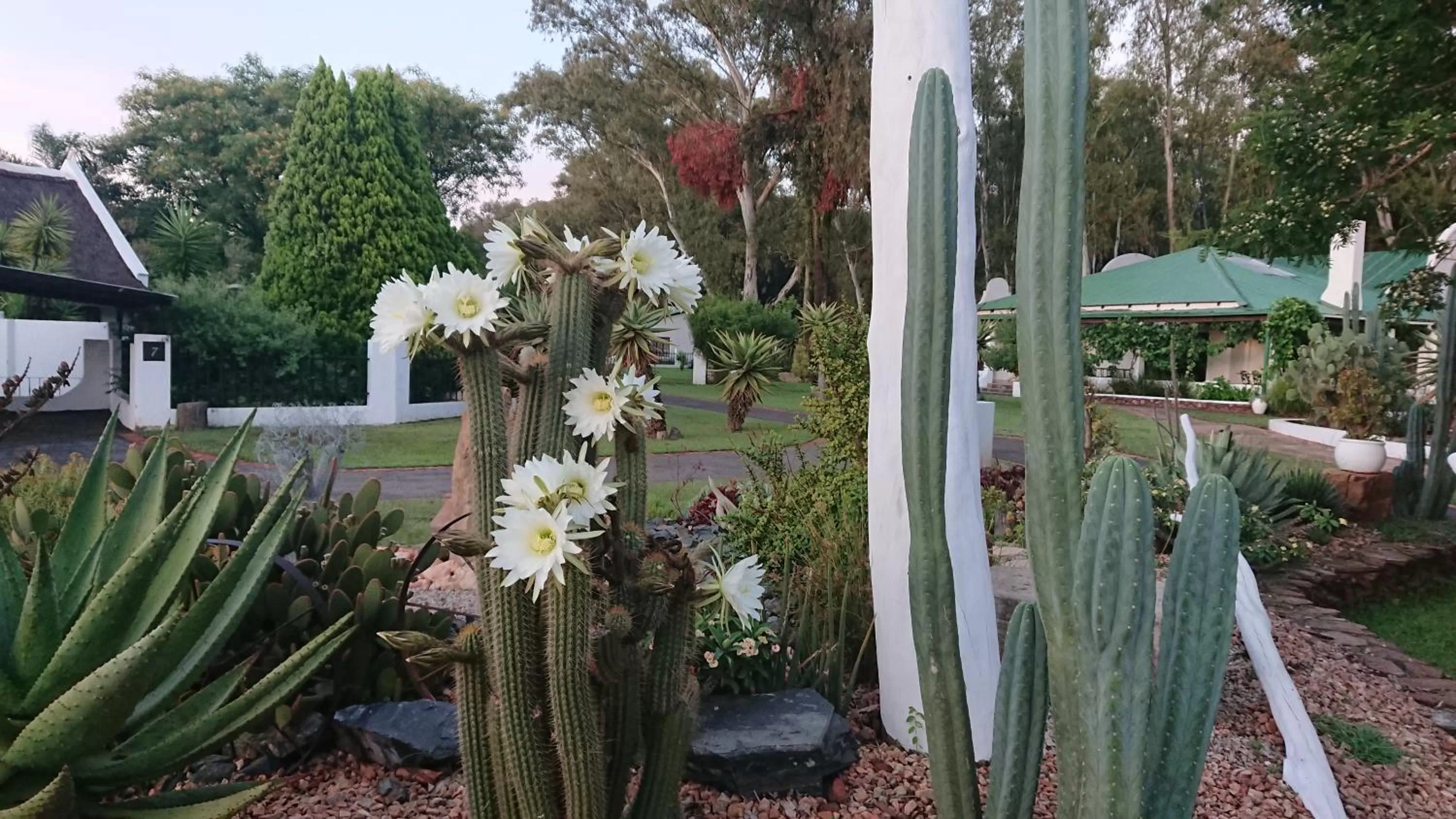 Garden in The Highveld Cape Inn