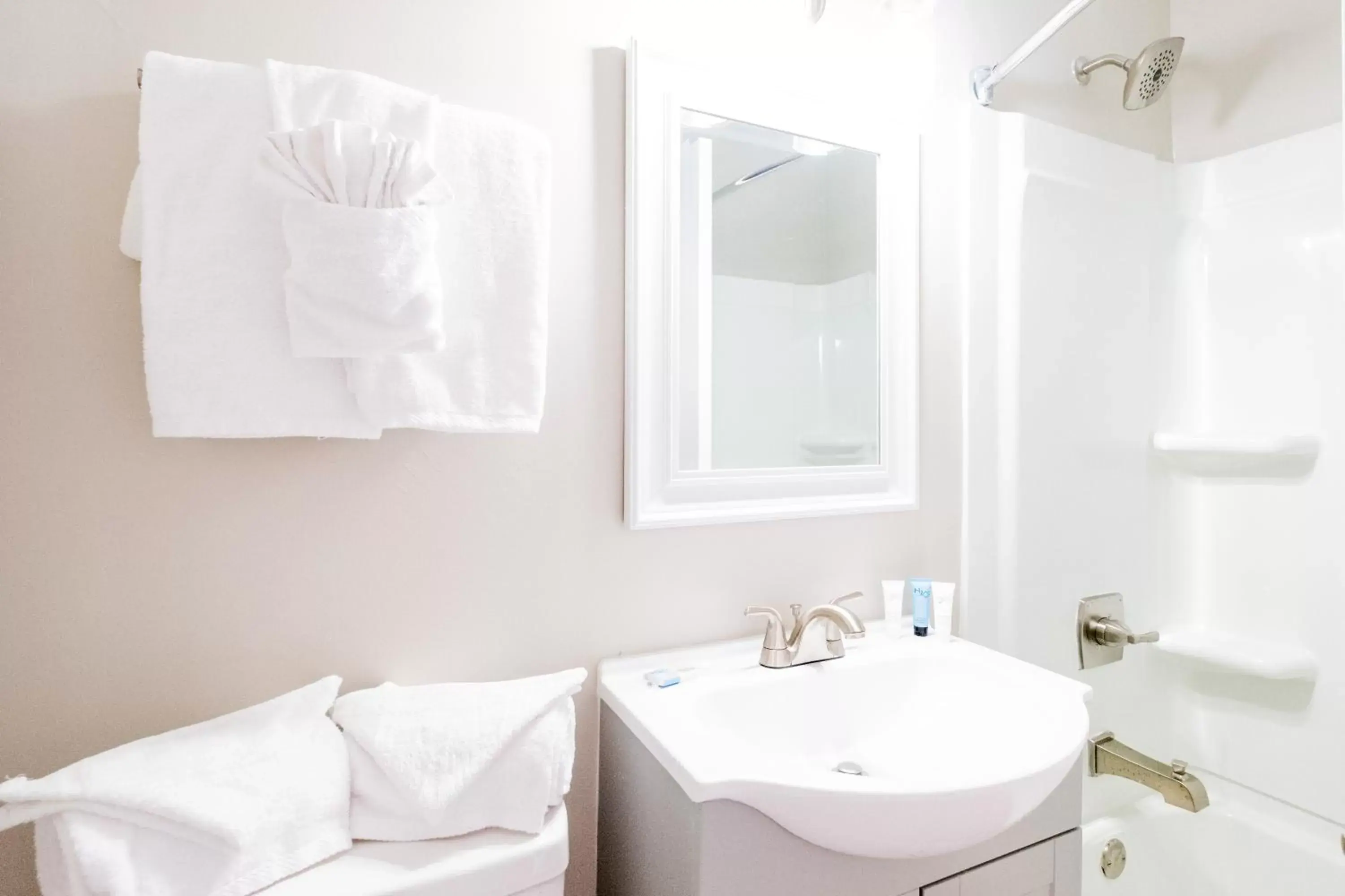 Two-Bedroom Suite in 300 Tenth Two-Bedroom Suite in 300 Tenth