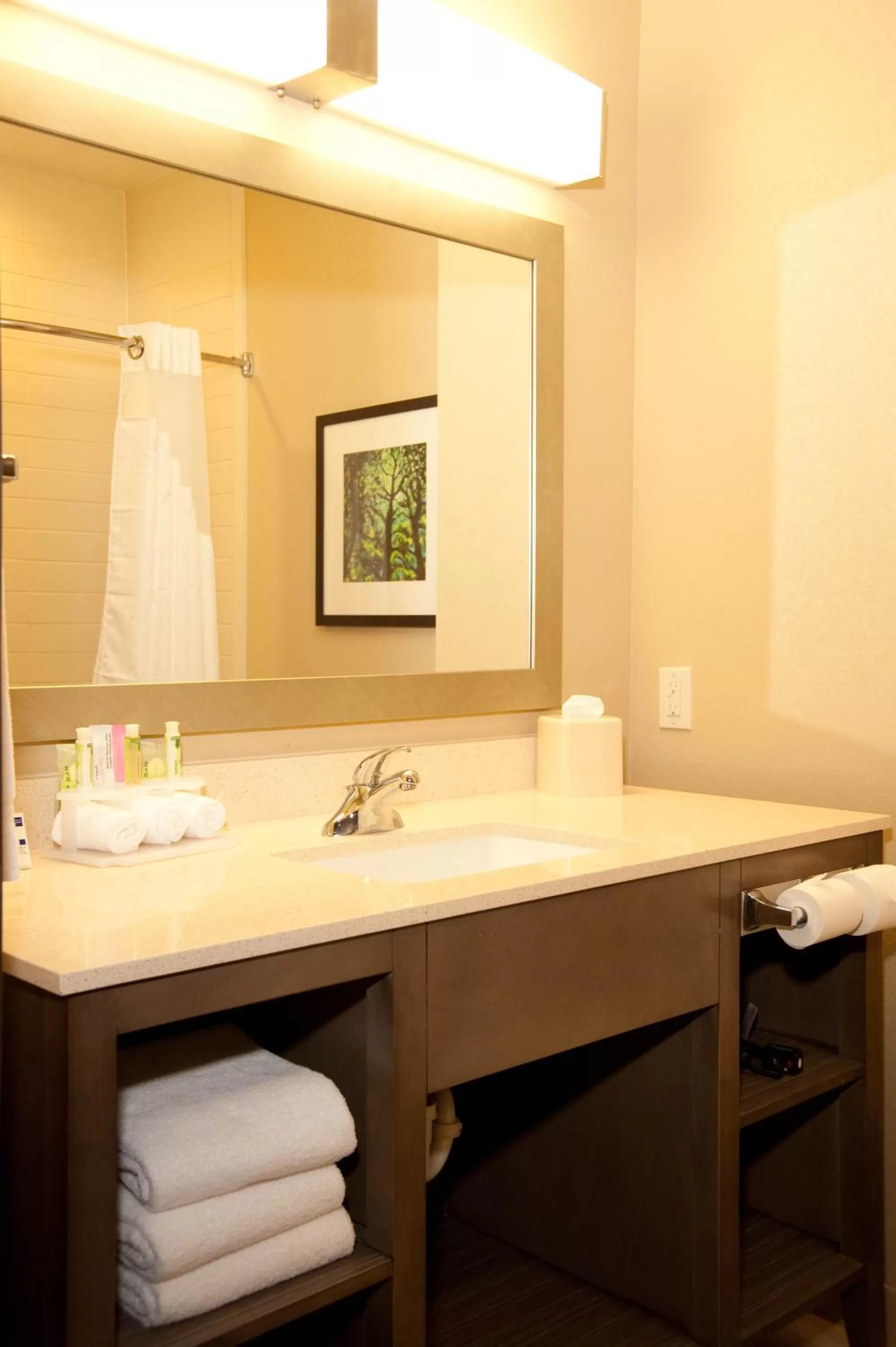 Bathroom in Holiday Inn Express and Suites Schulenburg by IHG