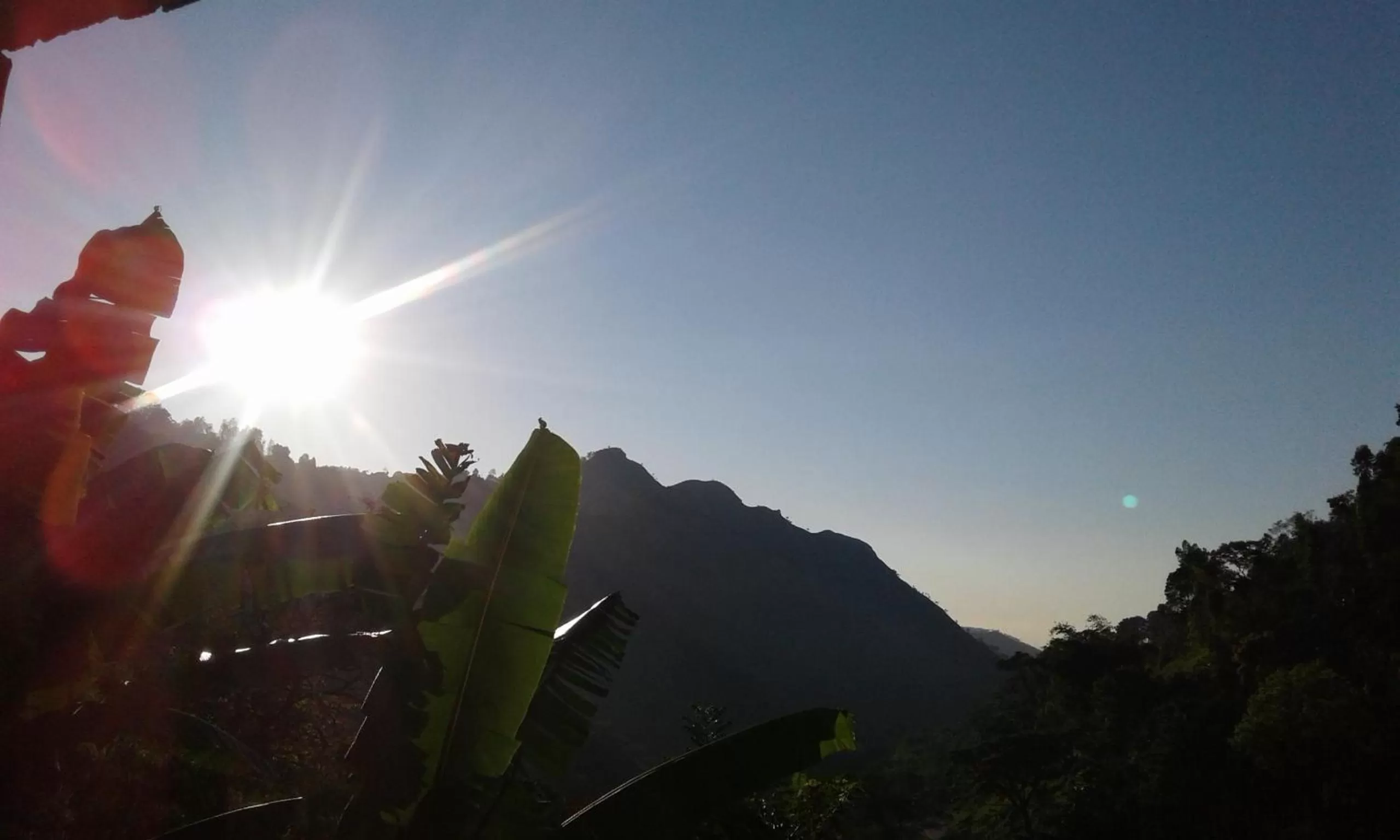 Ella Lucky Panoramic