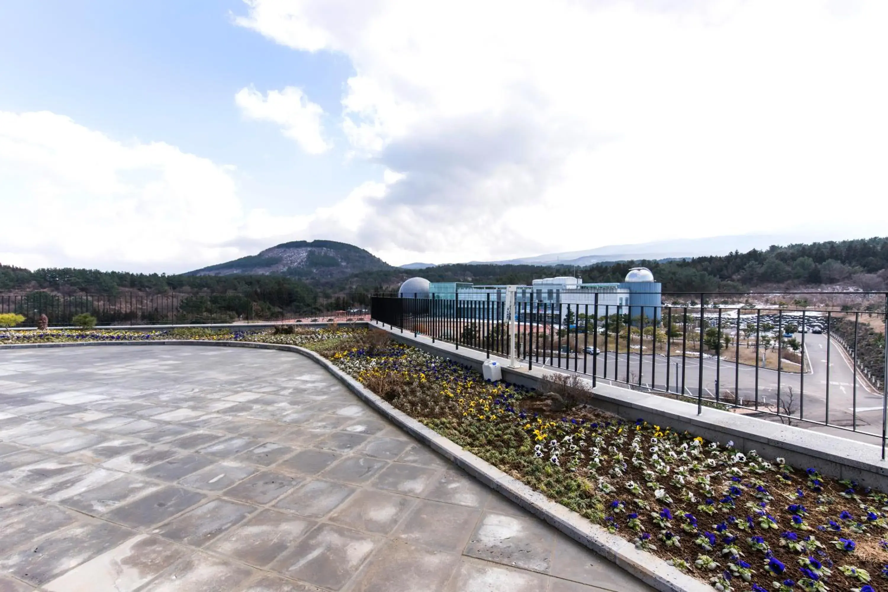 Garden in HOTEL NANTA JEJU