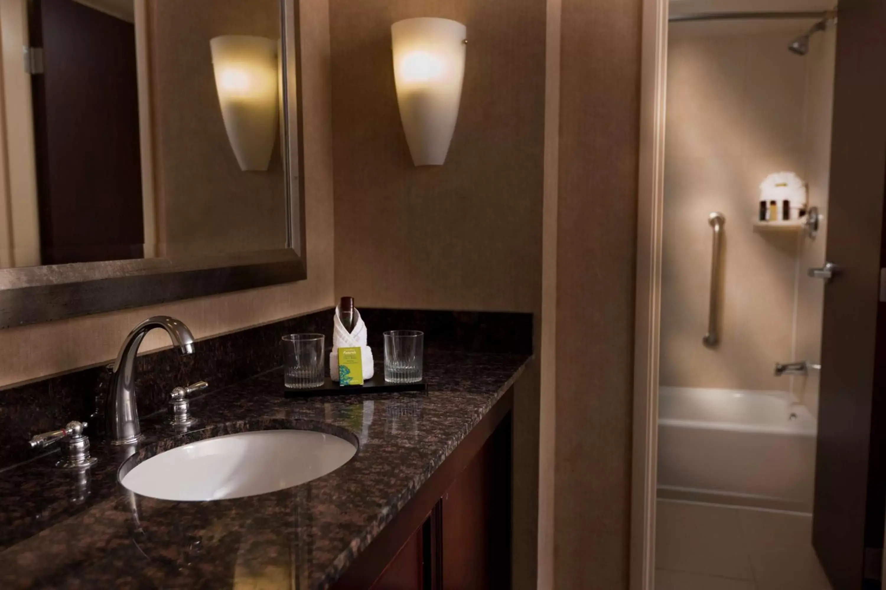 Bathroom in Embassy Suites Lubbock Bathroom in Embassy Suites Lubbock