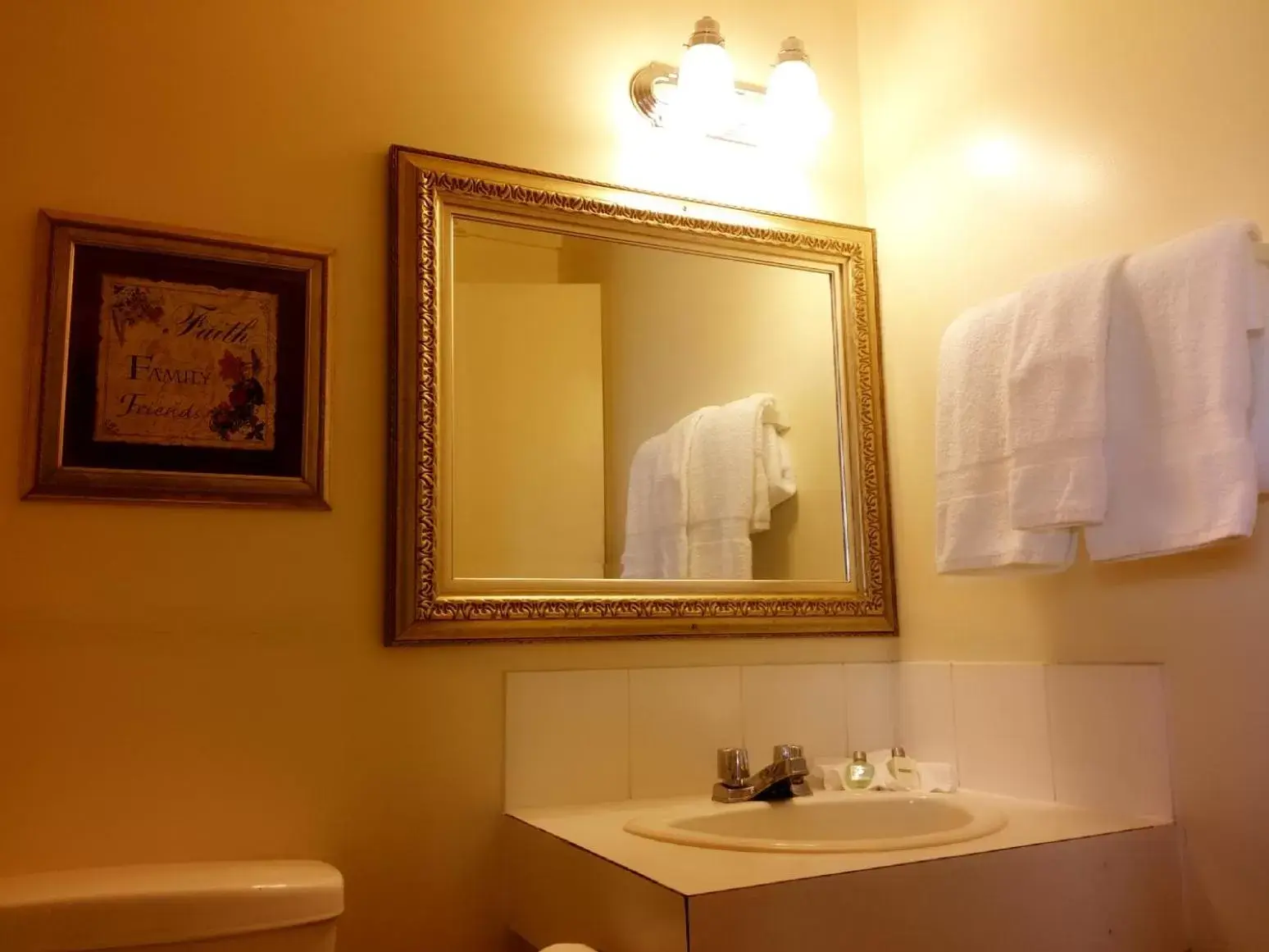 Photo of the whole room, Bathroom in Alpine Lodge Motel & Restaurant