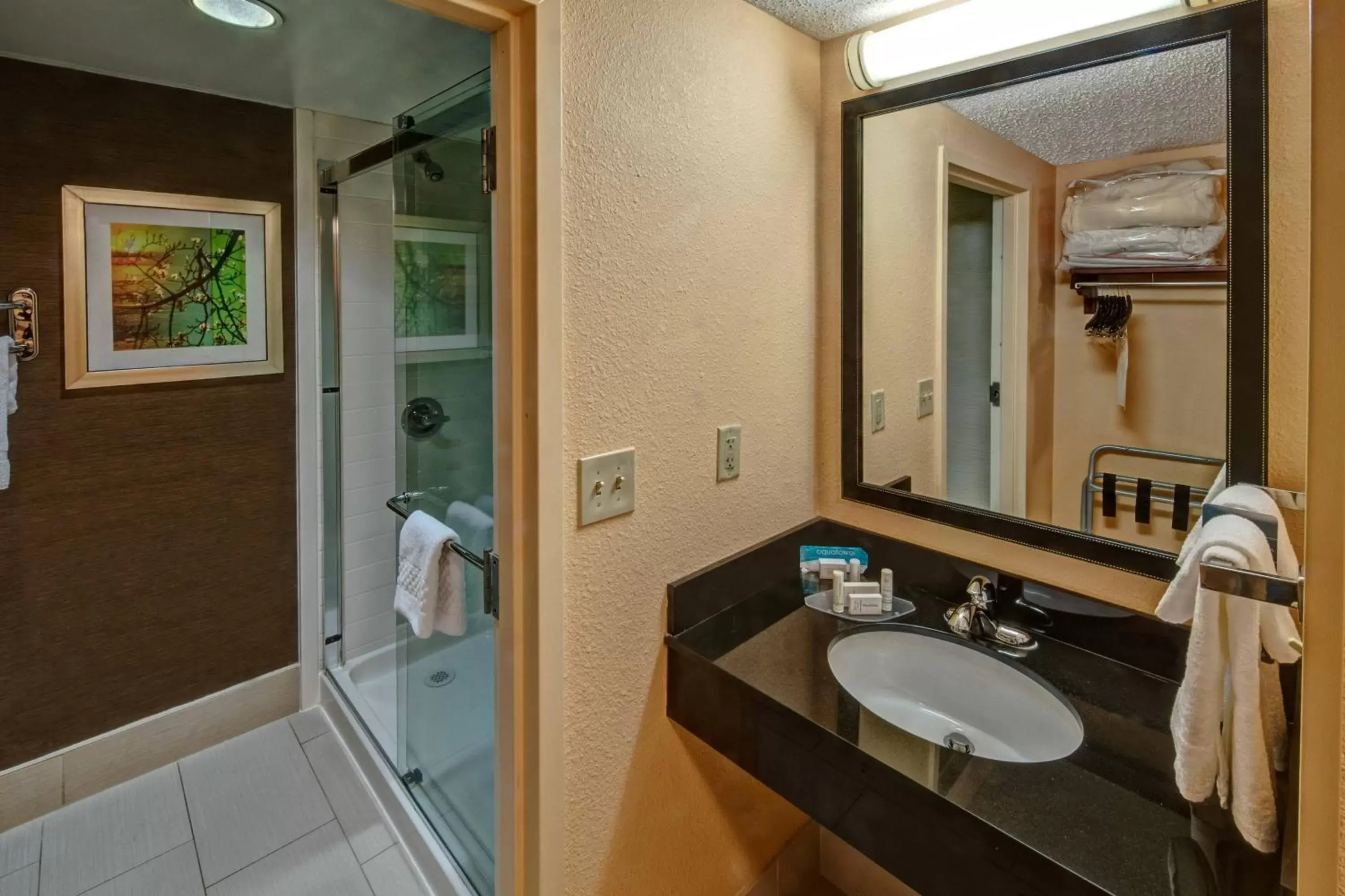 Bathroom in Fairfield Inn & Suites Memphis Southaven