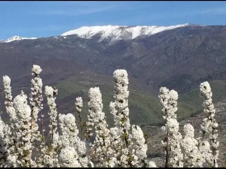 Winter in Hotel Rural Xerete