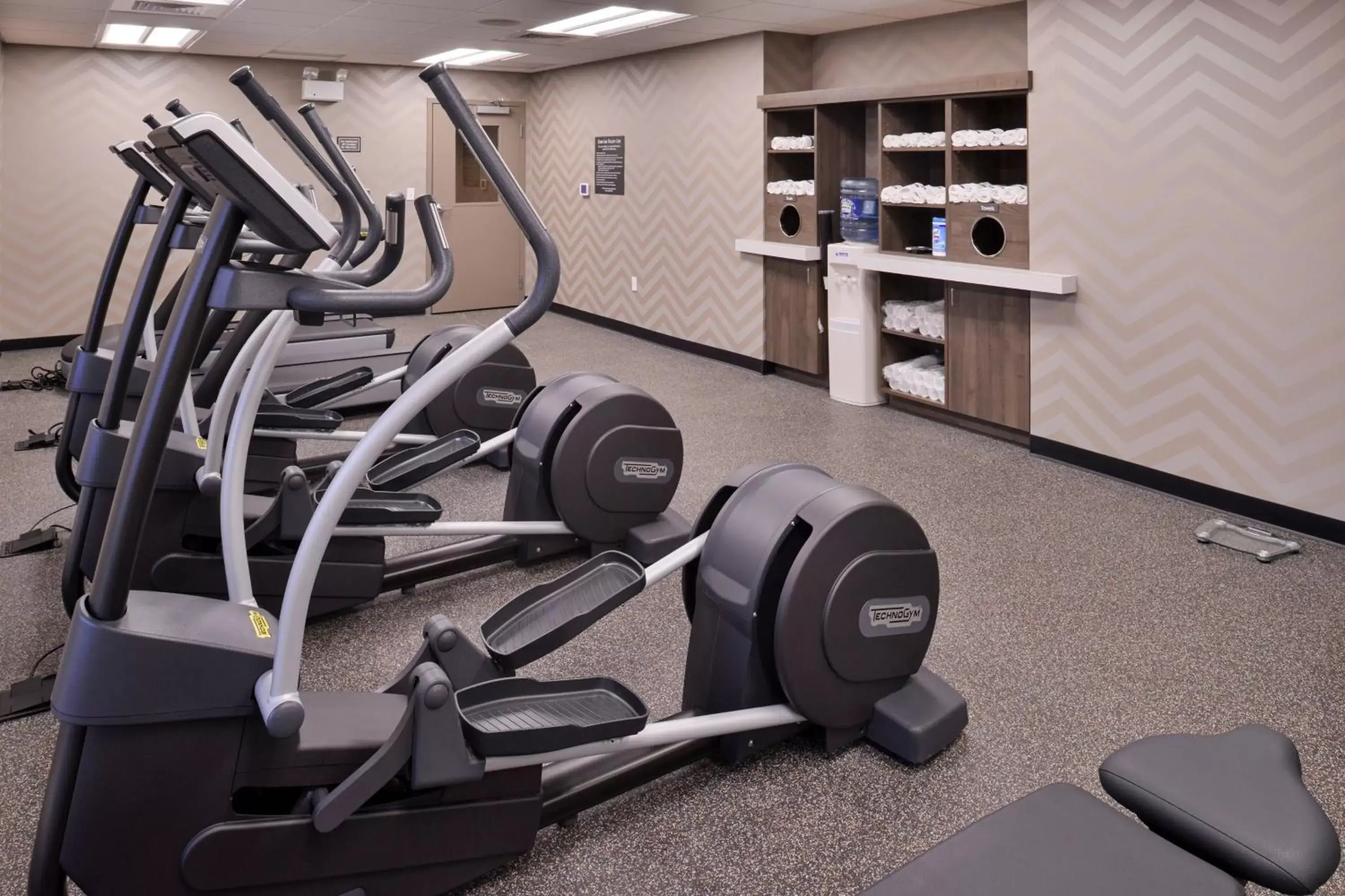 Fitness centre/facilities, Fitness Center/Facilities in Residence Inn by Marriott East Lansing