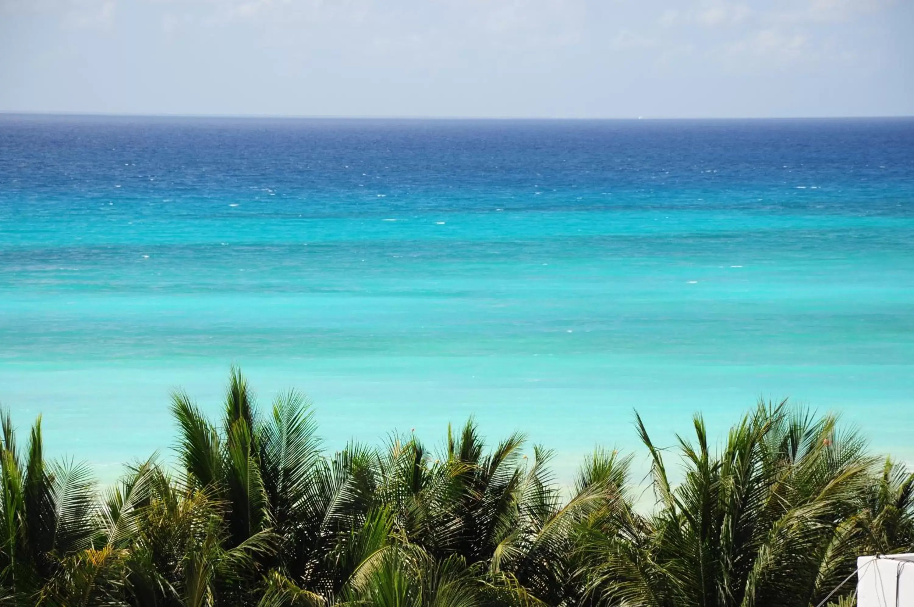 Beach, Natural Landscape in Hotel Posada Sian Kaan