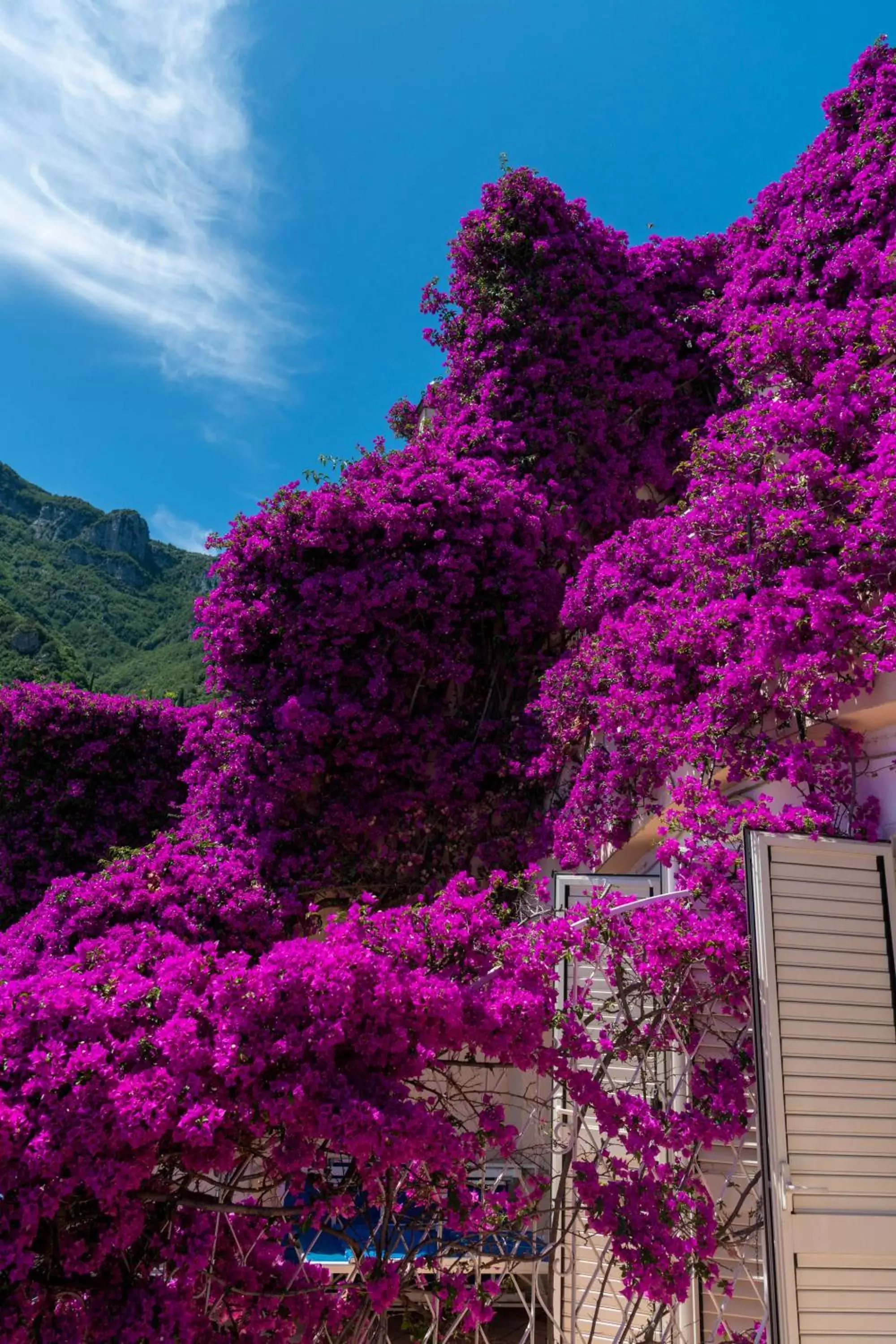 Mountain View in Positano Art Hotel Pasitea