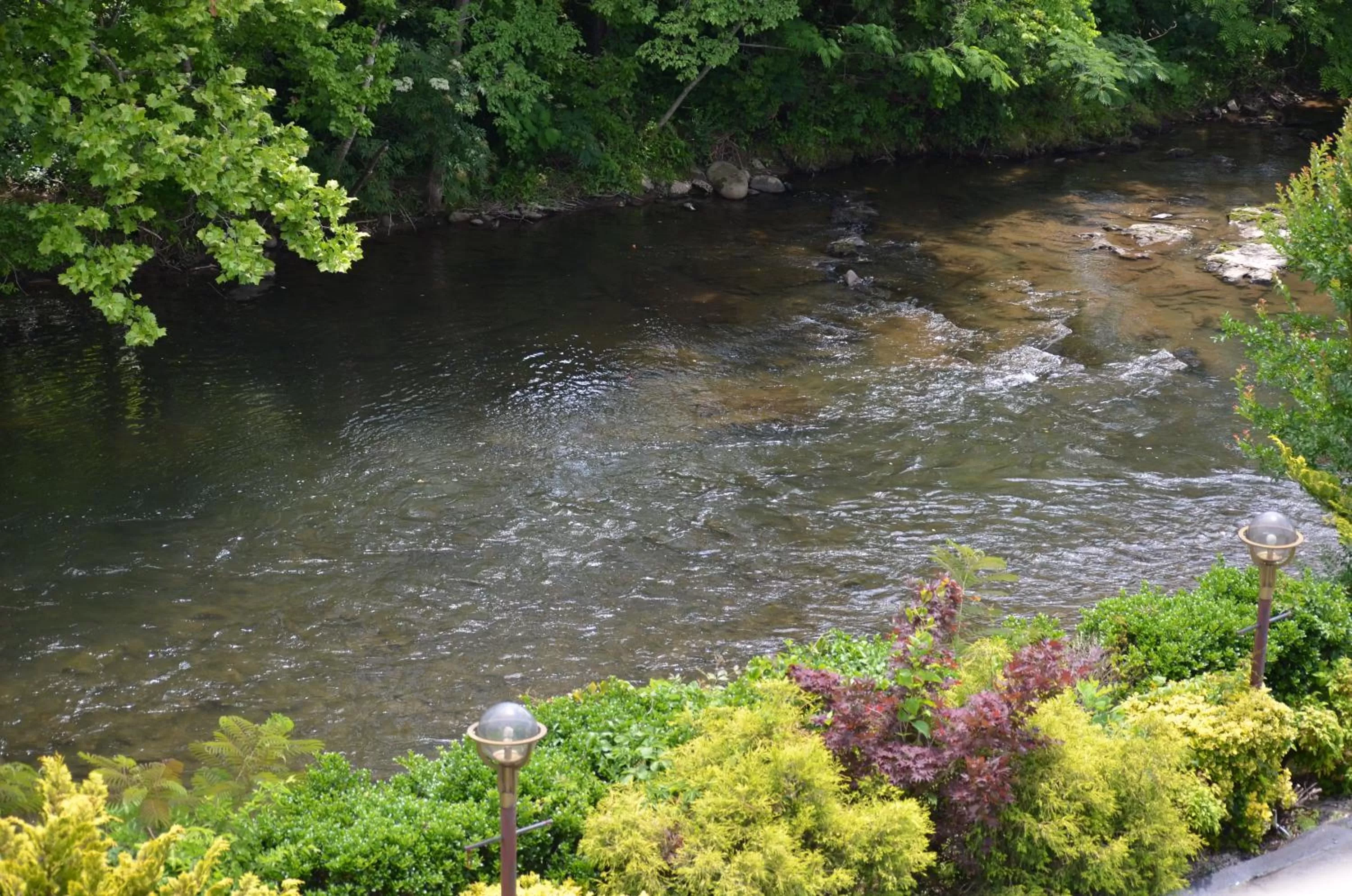 Natural Landscape in Rivergate Mountain Lodge