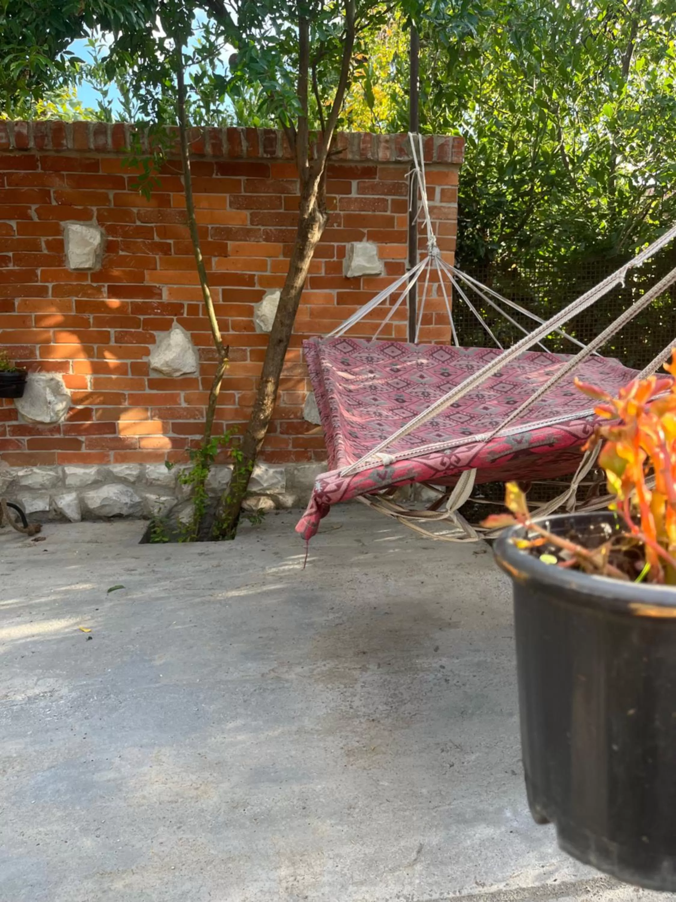 hair dresser in Book Hotel