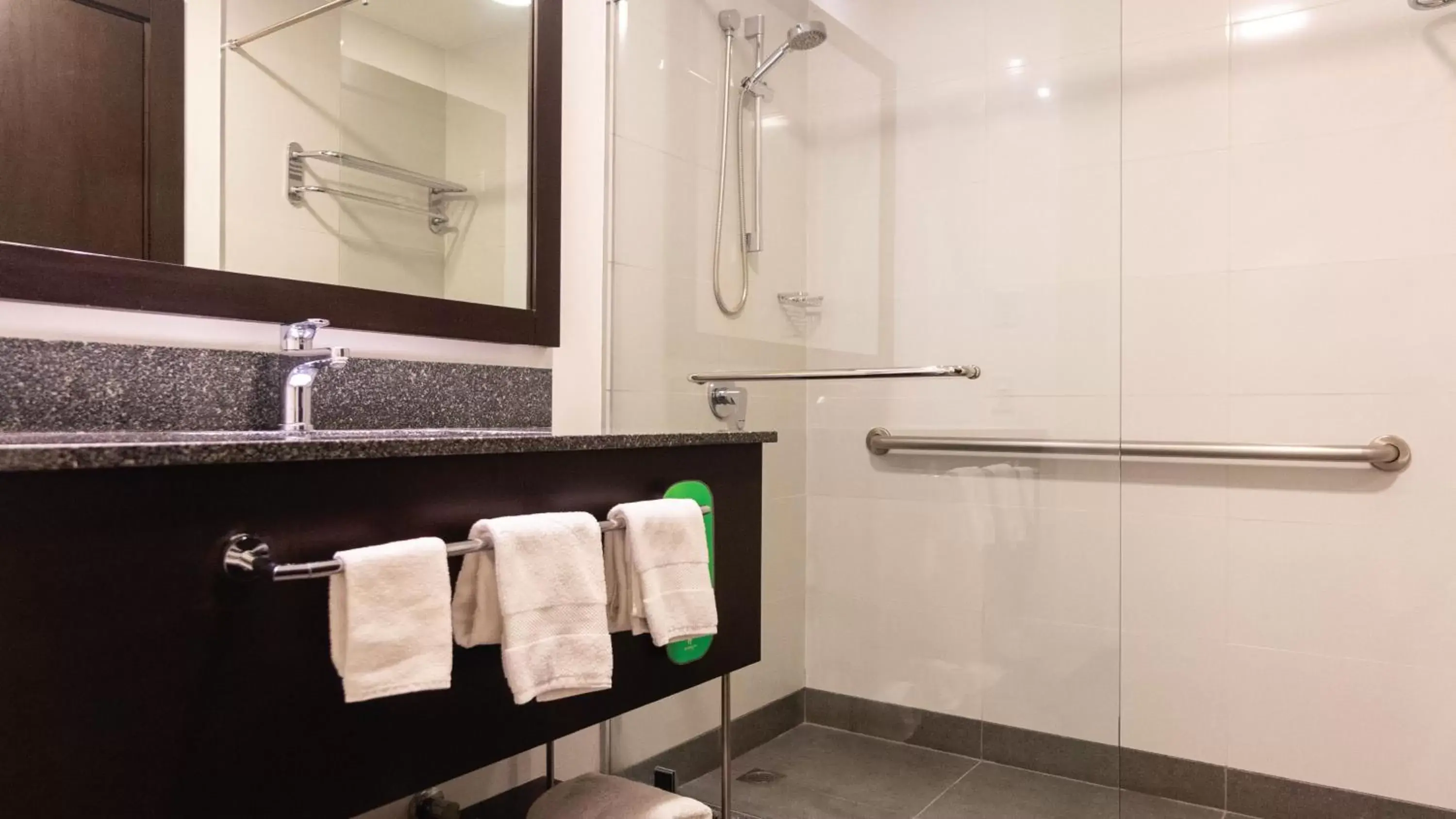 Bathroom in Holiday Inn Guayaquil Airport, an IHG Hotel