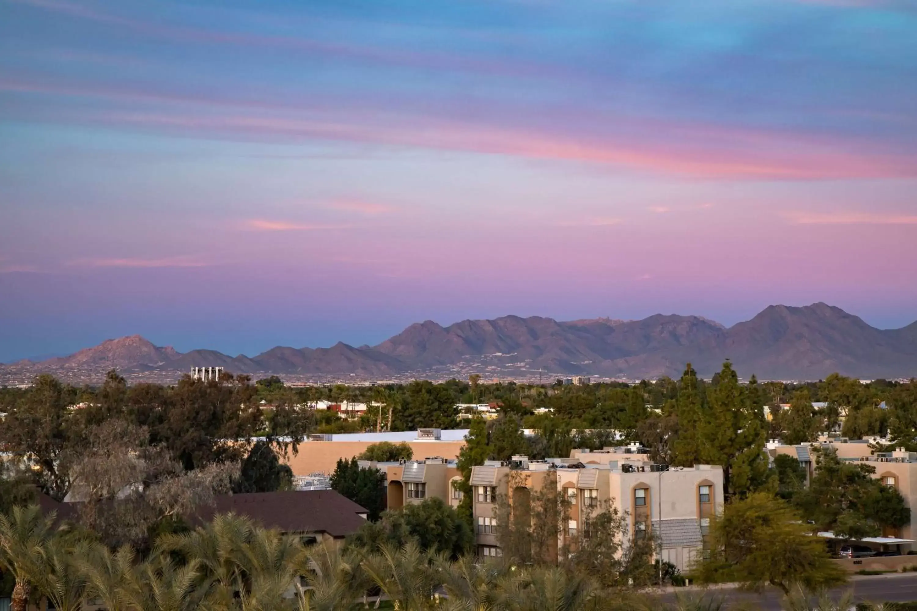 View (from property/room) in Embassy Suites by Hilton Phoenix Scottsdale