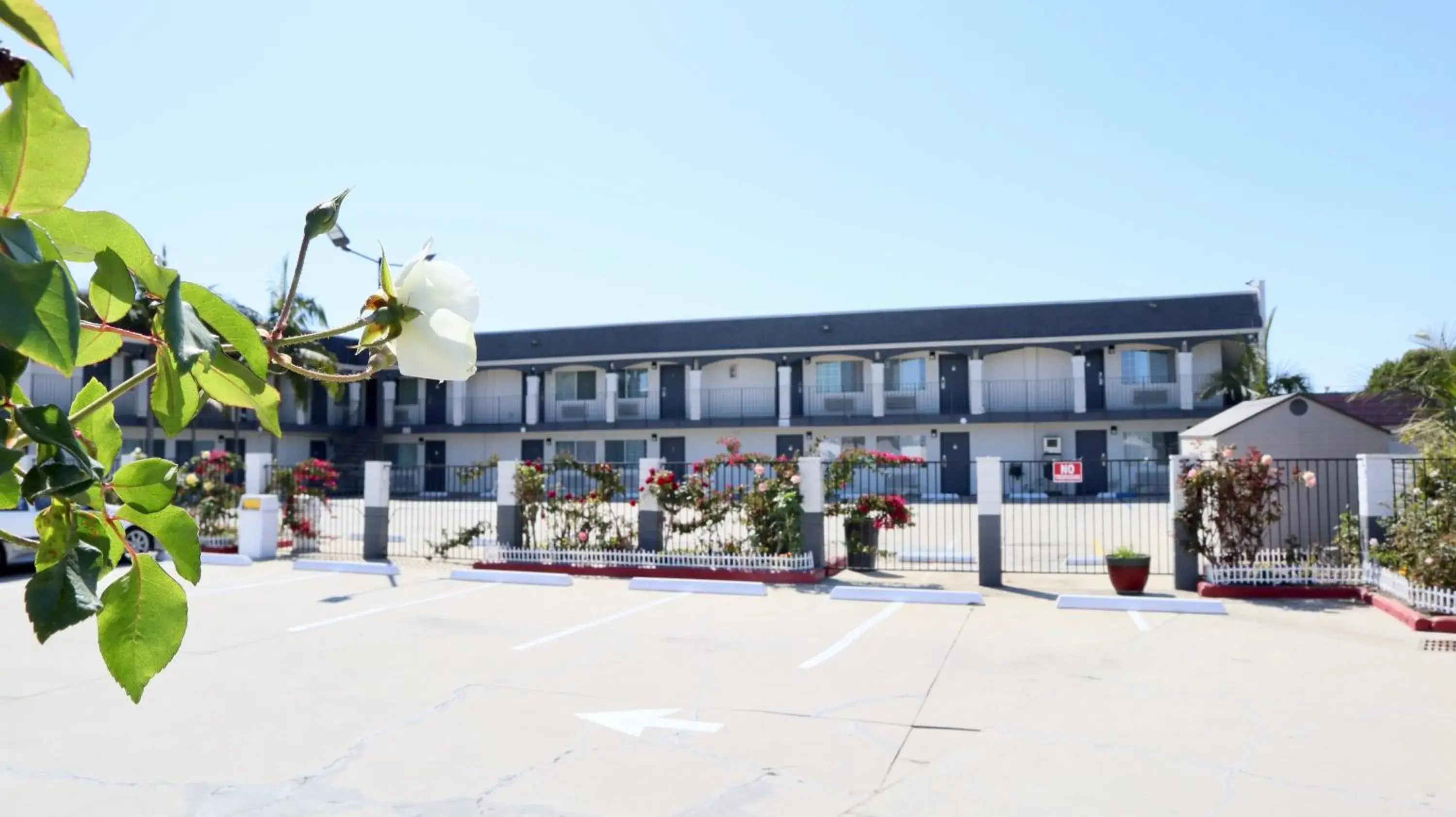 Garden view, Property Building in Value Inn Bellflower