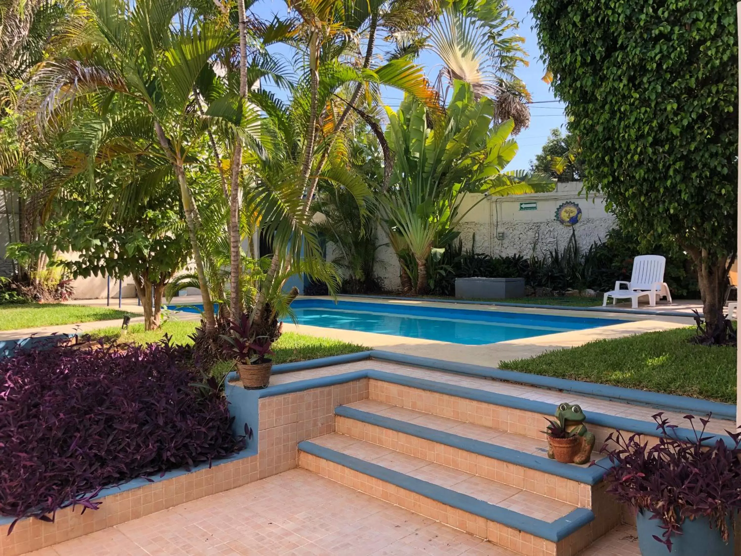 Garden, Swimming Pool in Suites del Sureste - Mérida