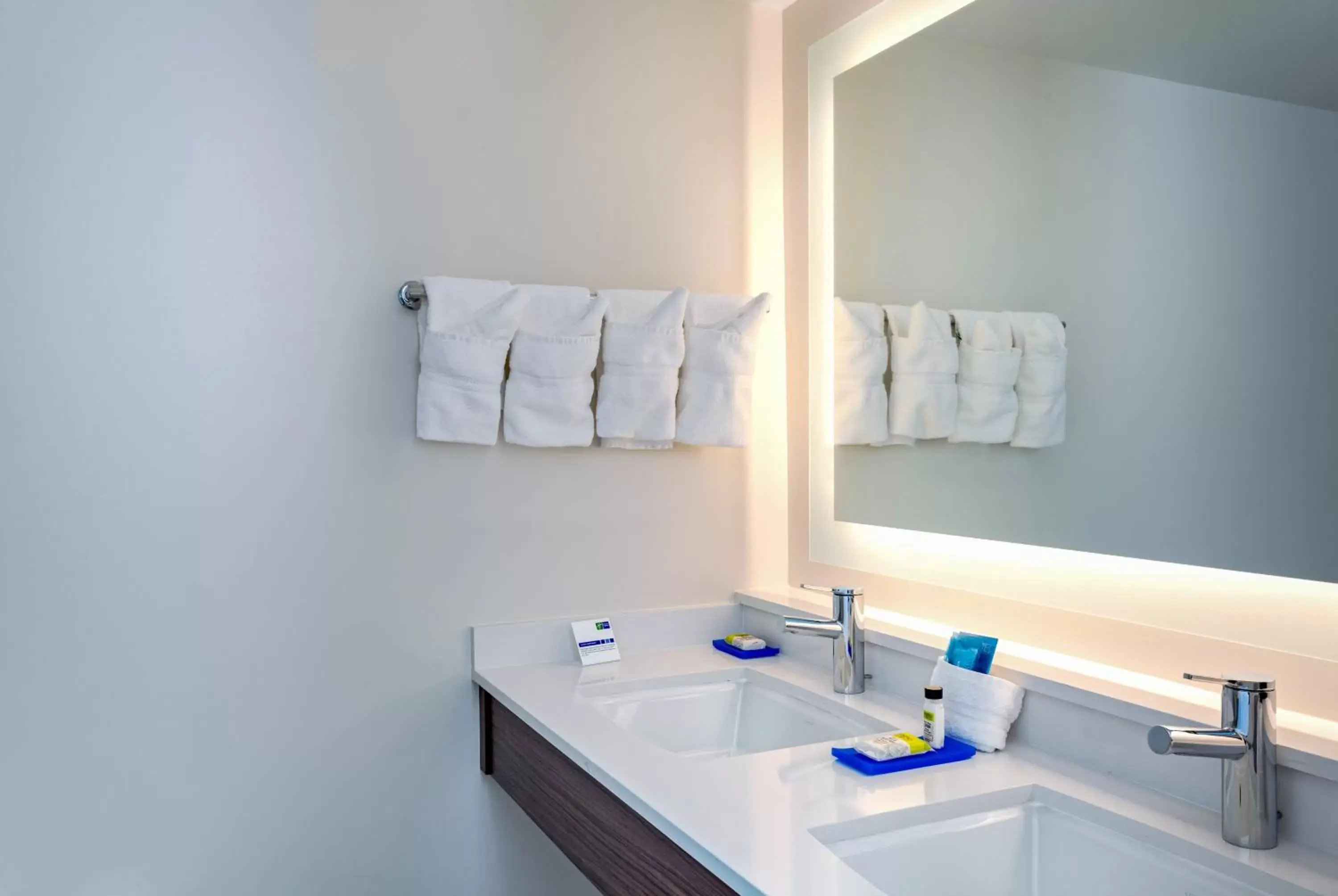Bathroom in Holiday Inn Express Tampa-Brandon, an IHG Hotel