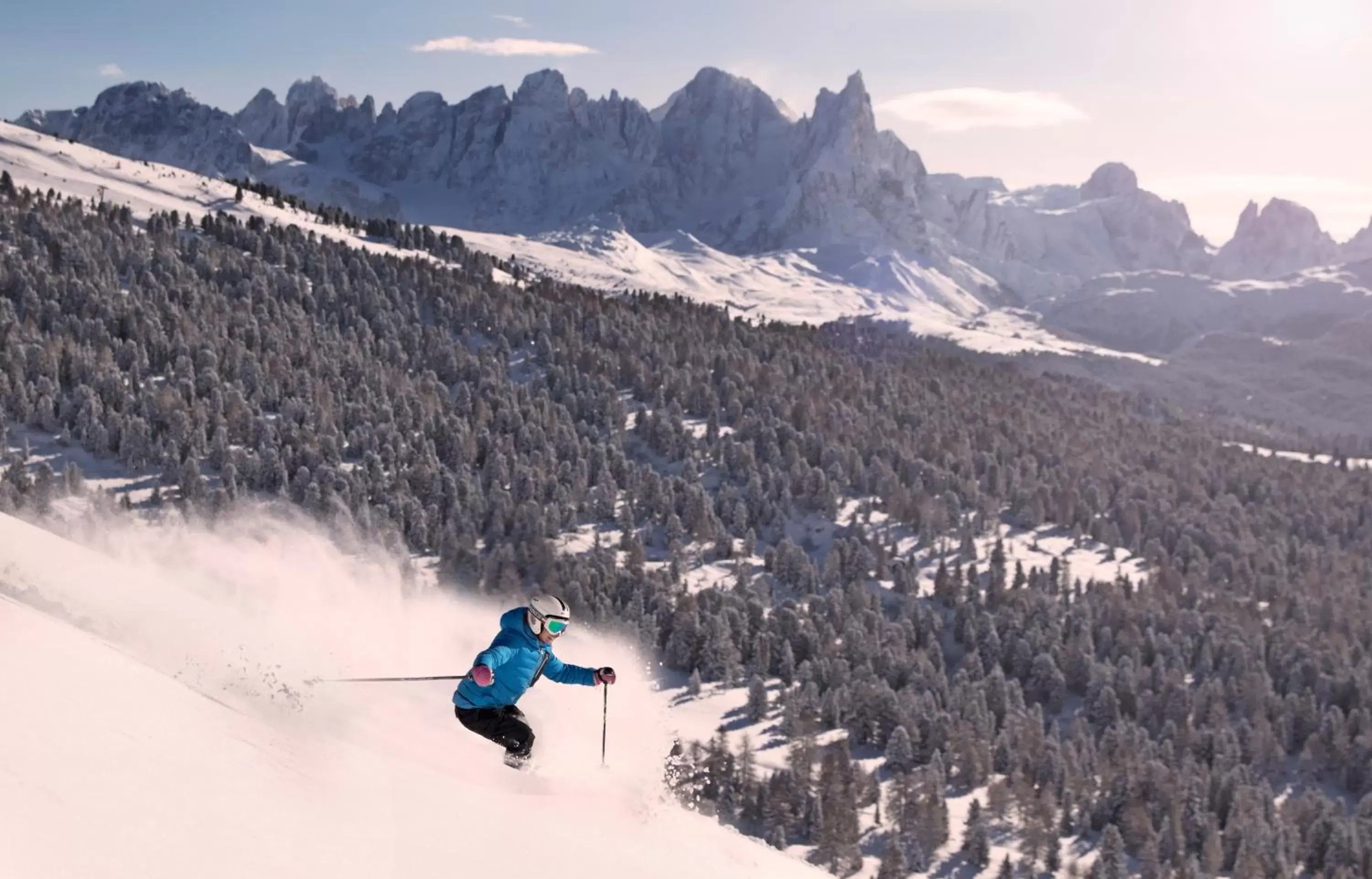 Skiing in Aparthotel Wellness Villa di Bosco