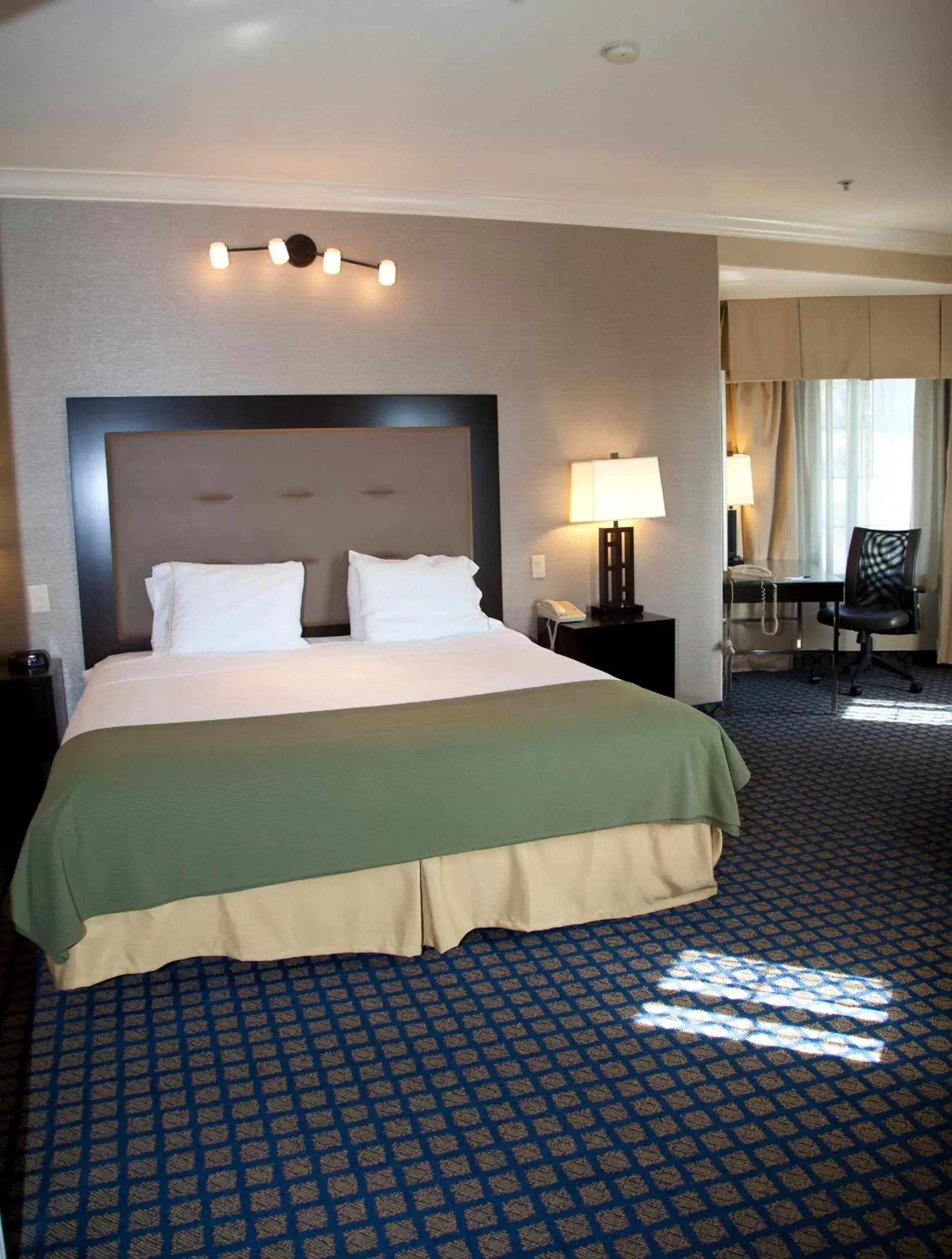 Standard  Room in Holiday Inn Express San Pablo - Richmond Area, an IHG Hotel