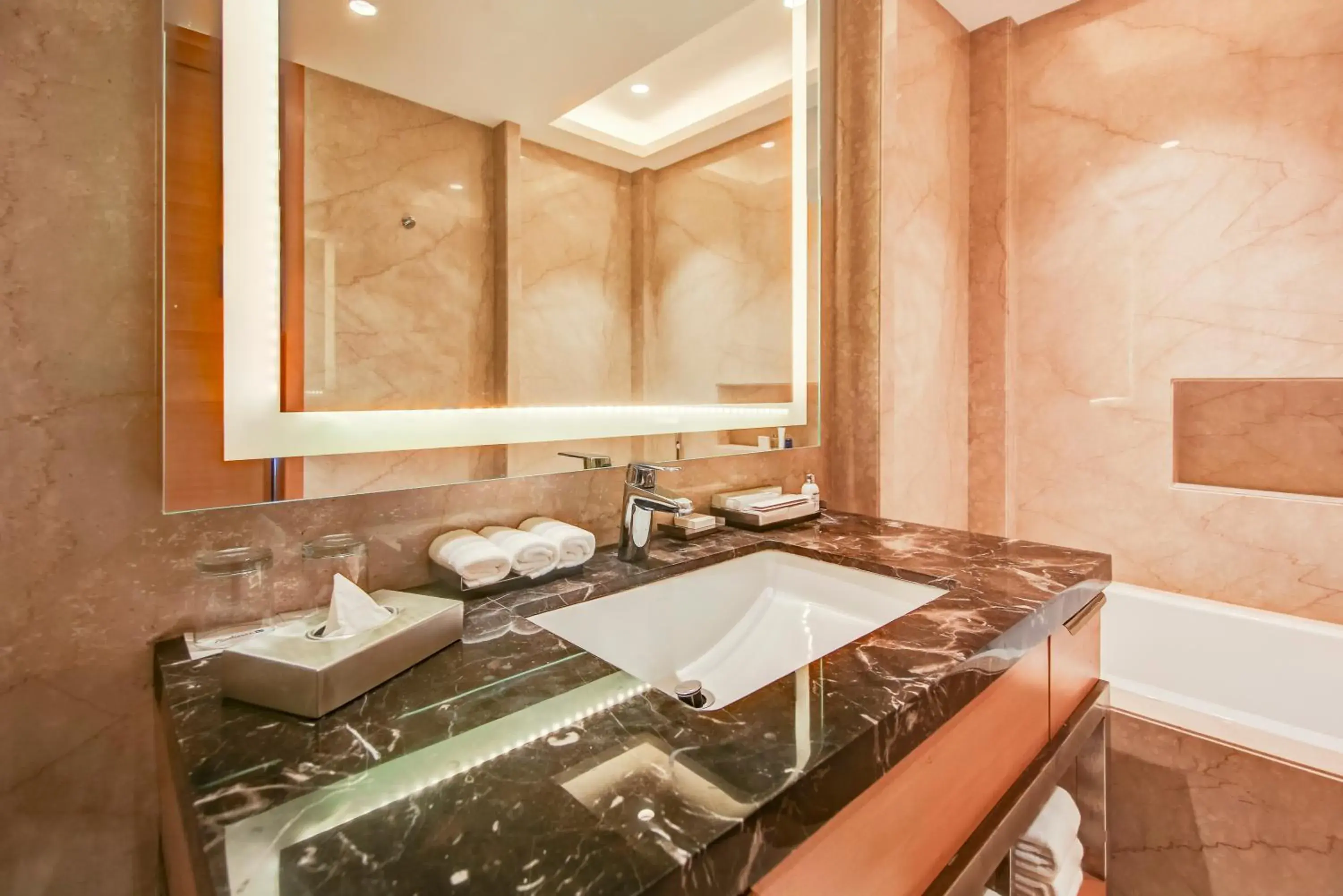 Bathroom in Radisson Blu Gorakhpur