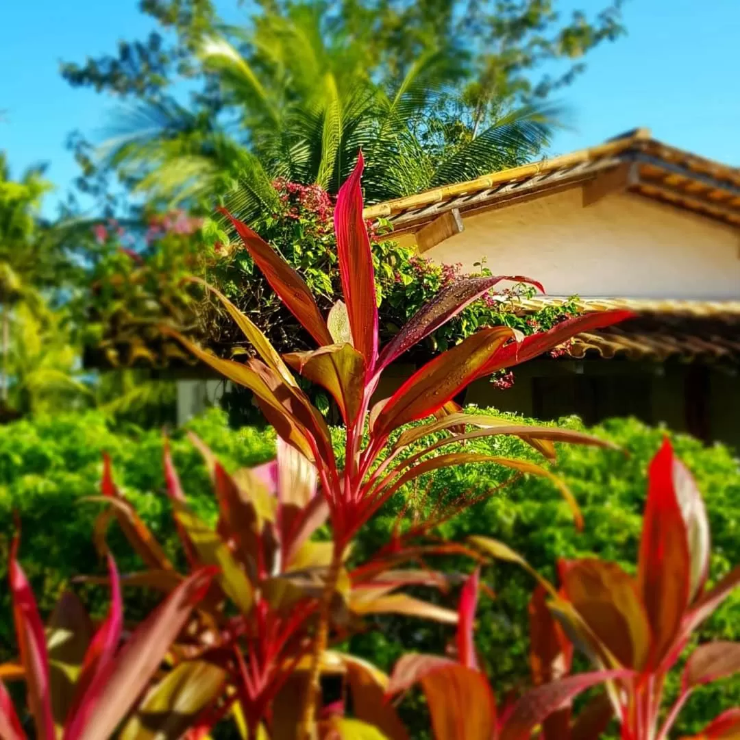 Garden in Pousada Villages Boutique Hotel - 150m da Praia da Laje