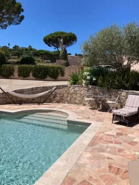 Swimming Pool in Lone Star House