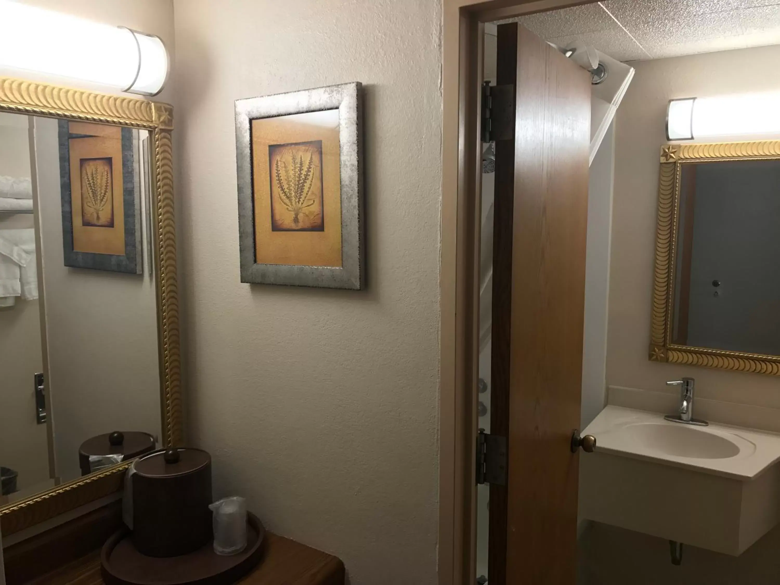 Bathroom in Ramada by Wyndham Albert Lea