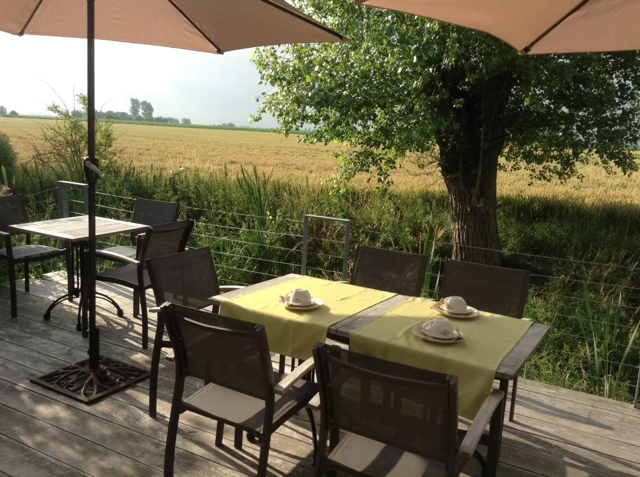 View (from property/room) in B&B Het Schaliënhof