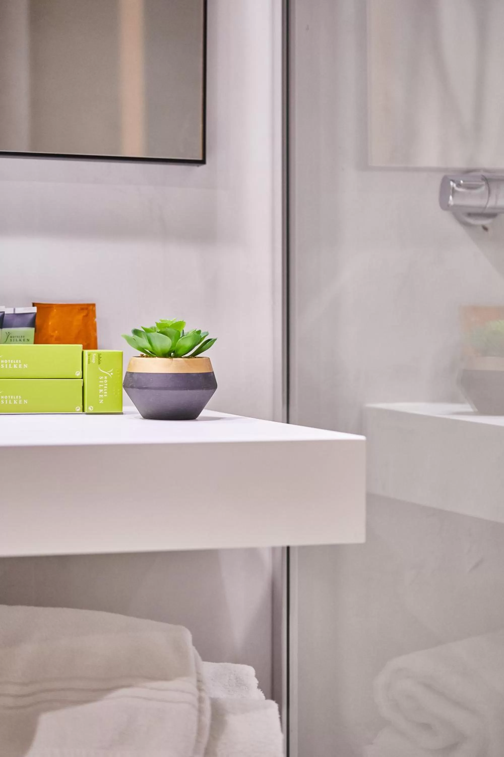 Shower in Hotel Silken Indautxu