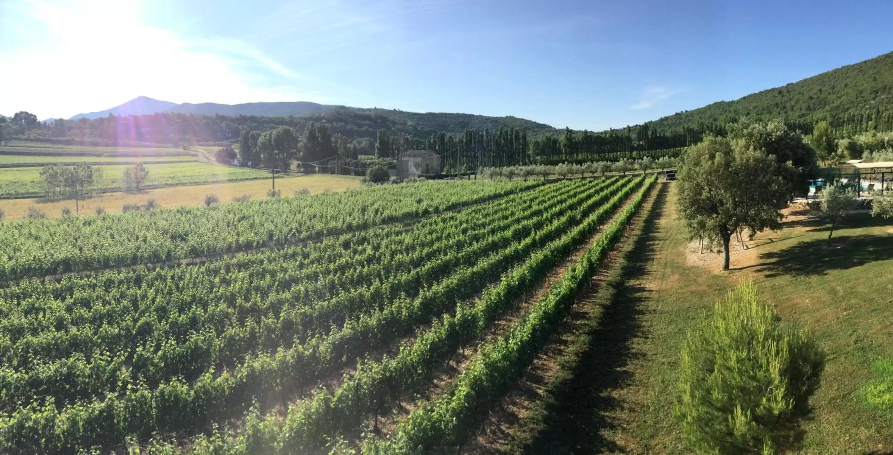 Other, Natural Landscape in Le Clos Saint Michel & Spa