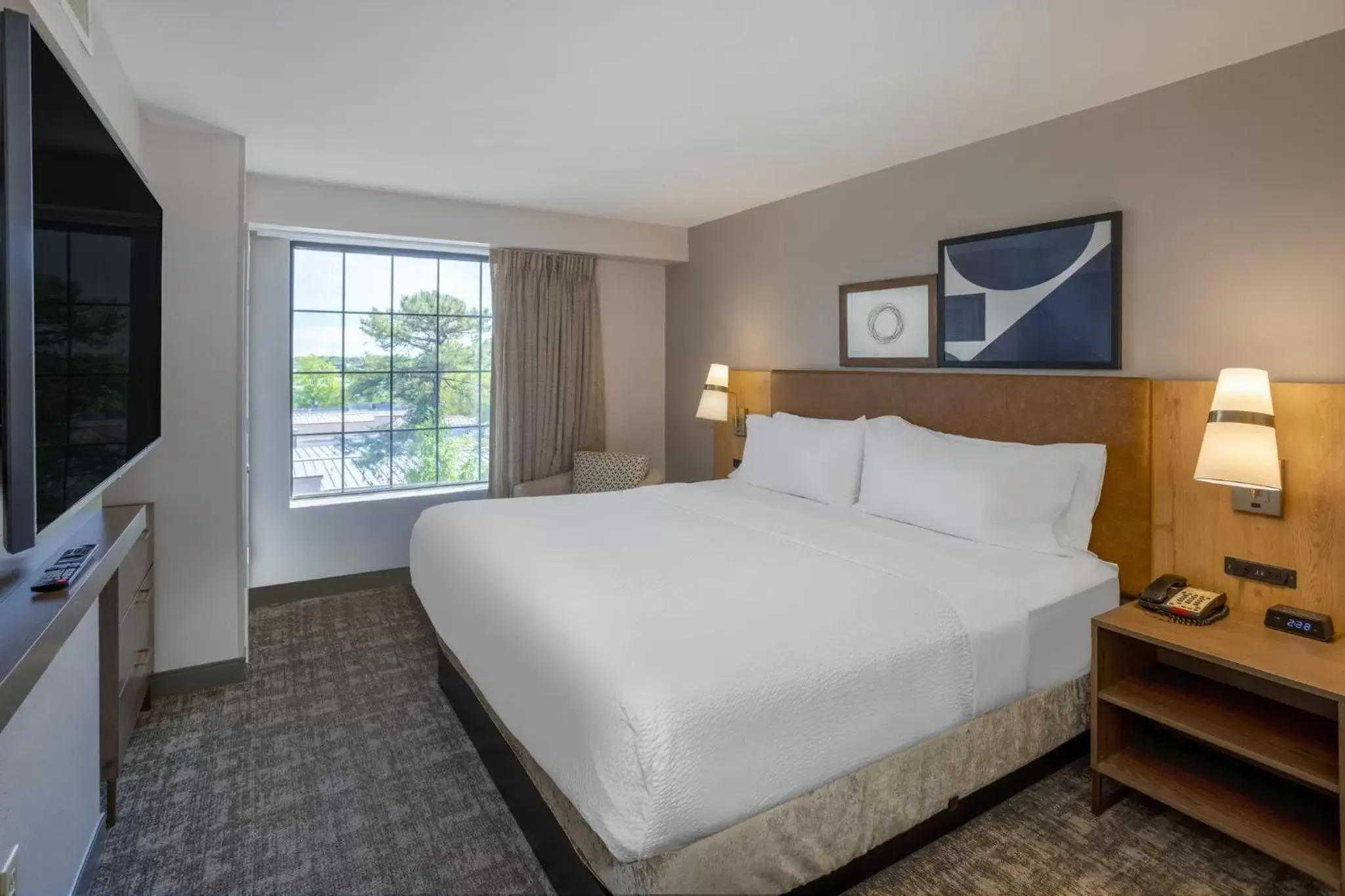 Photo of the whole room, Bed in Staybridge Suites Wilmington East, an IHG Hotel