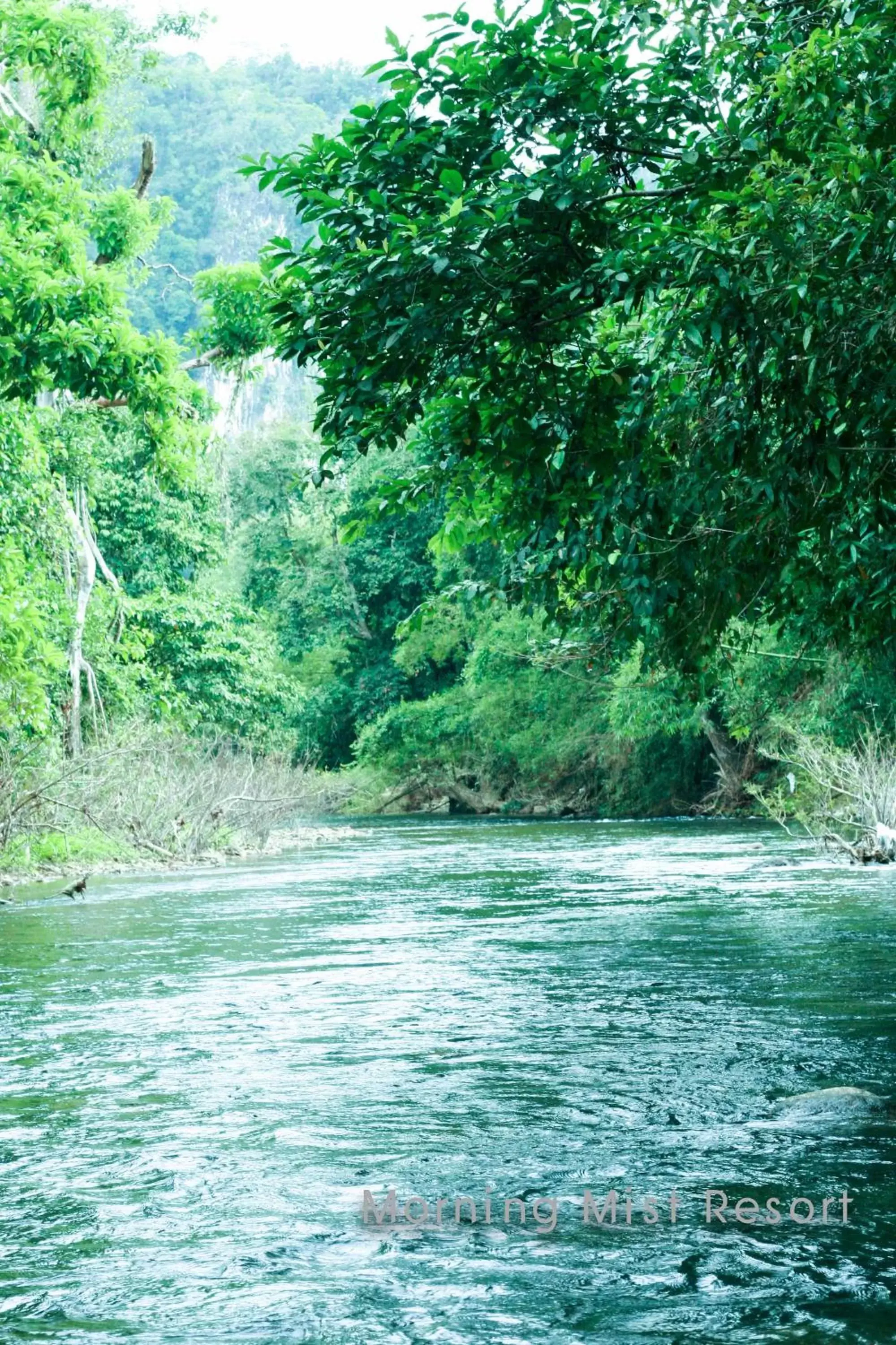 River view in Khao Sok Morning Mist Resort