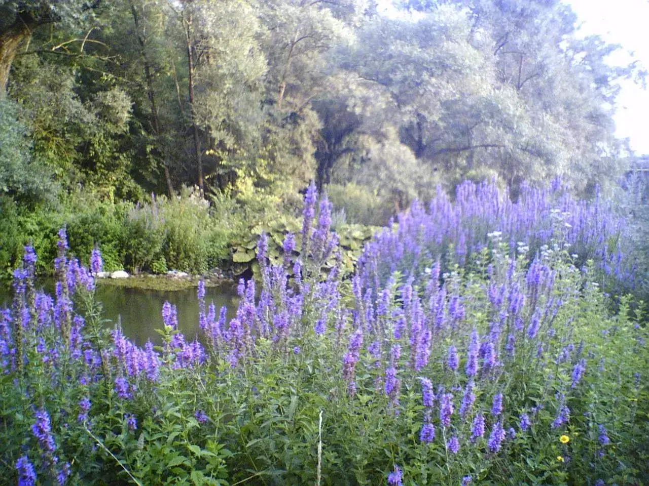 River view in Antica Taverna del Principe