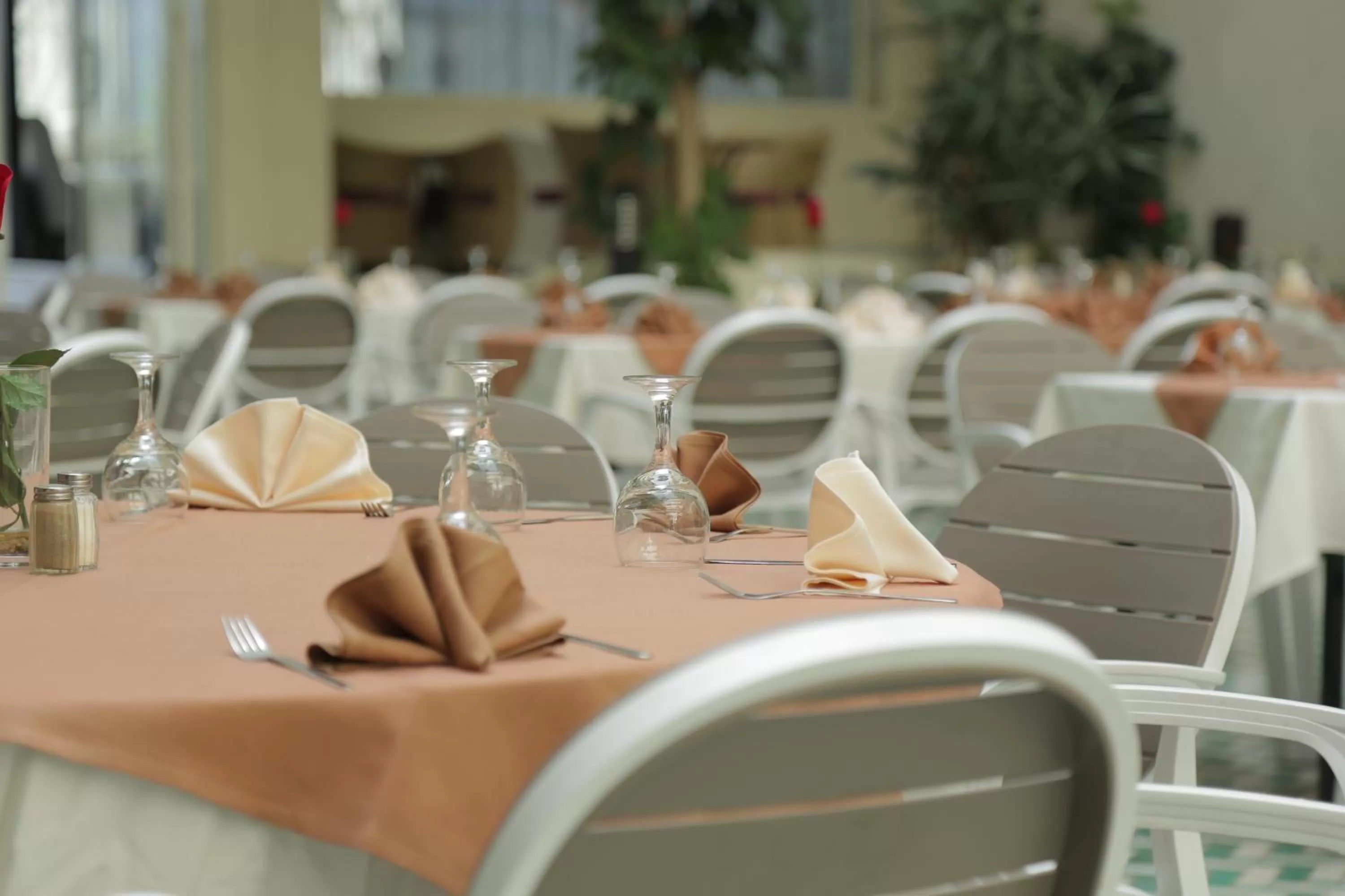 Restaurant/places to eat in Hotel Suisse