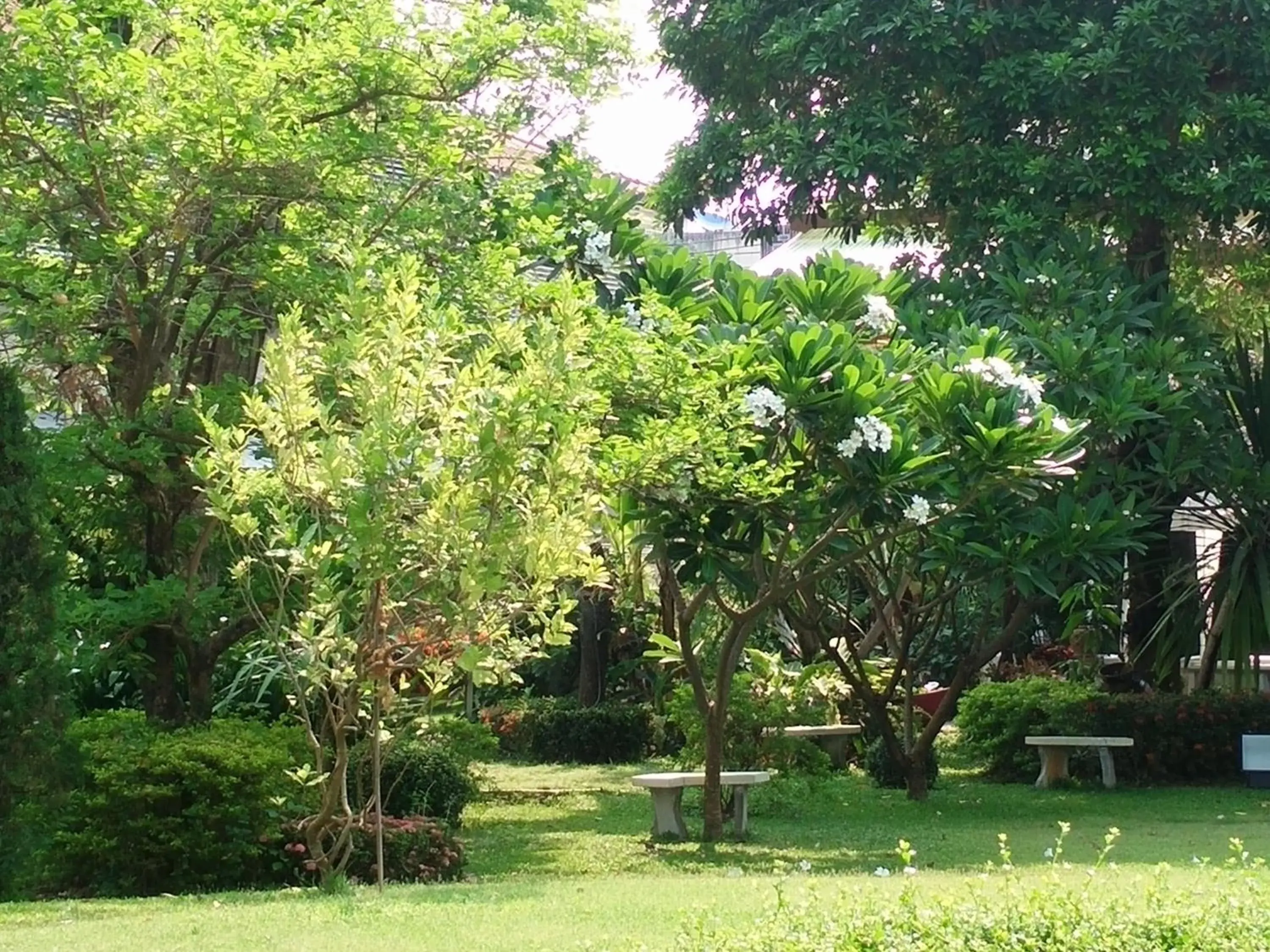 Garden in Swankaburi Boutique Hotel