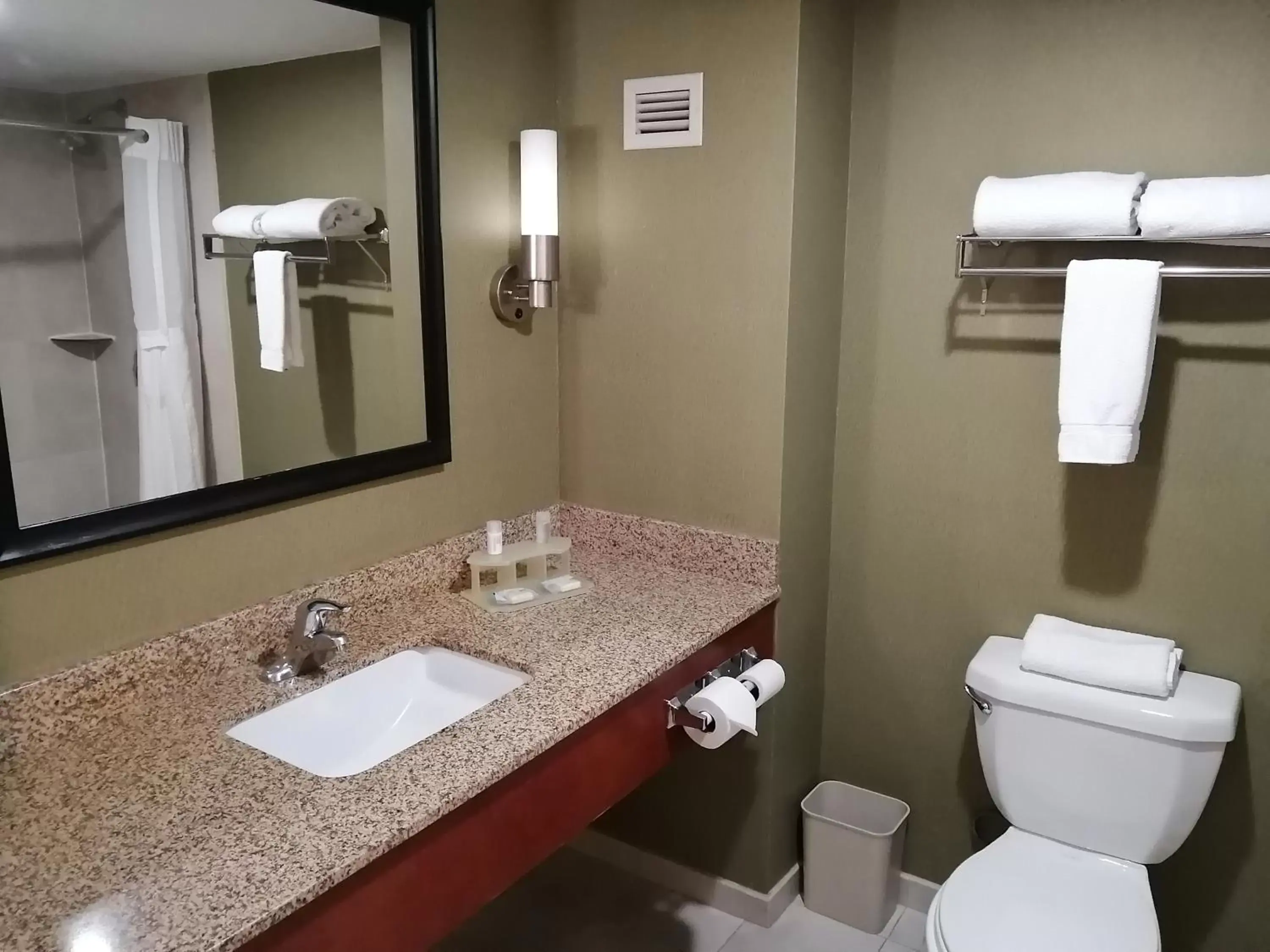 Bathroom in Holiday Inn Express & Suites Toluca Zona Aeropuerto, an IHG Hotel