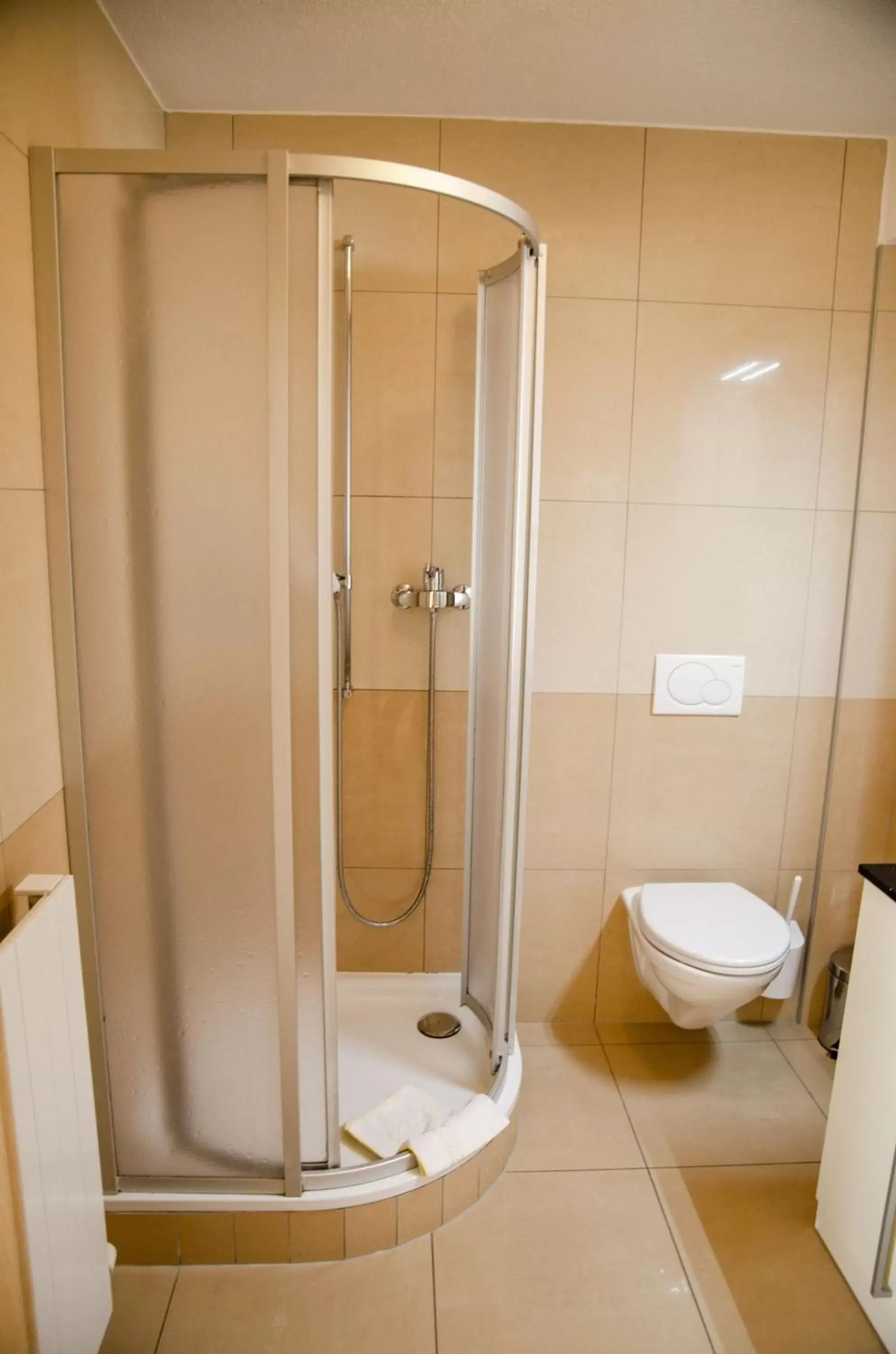 Shower, Bathroom in Hotel du Faucon