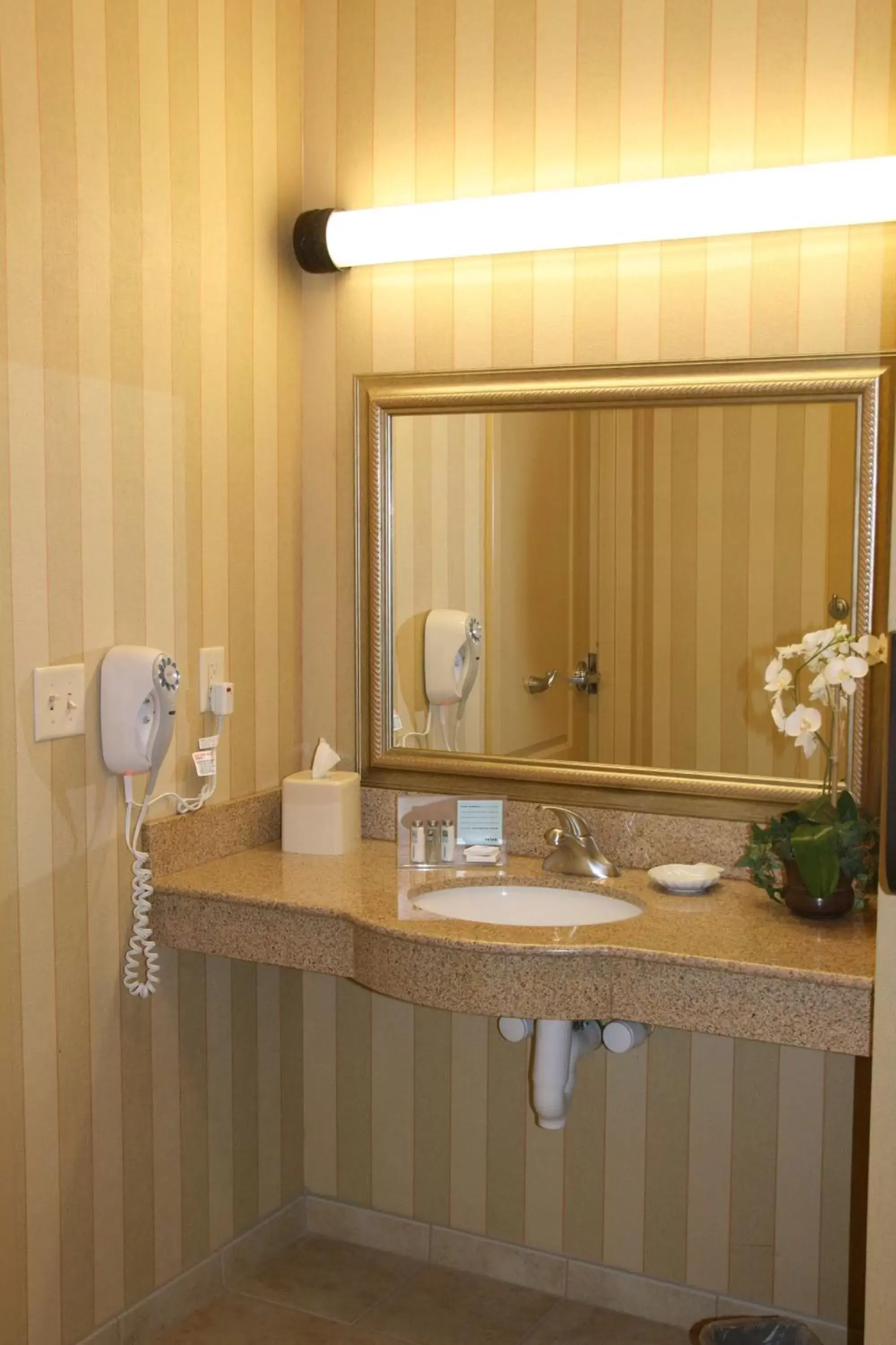 Bathroom in Hampton Inn & Suites Chicago/Saint Charles