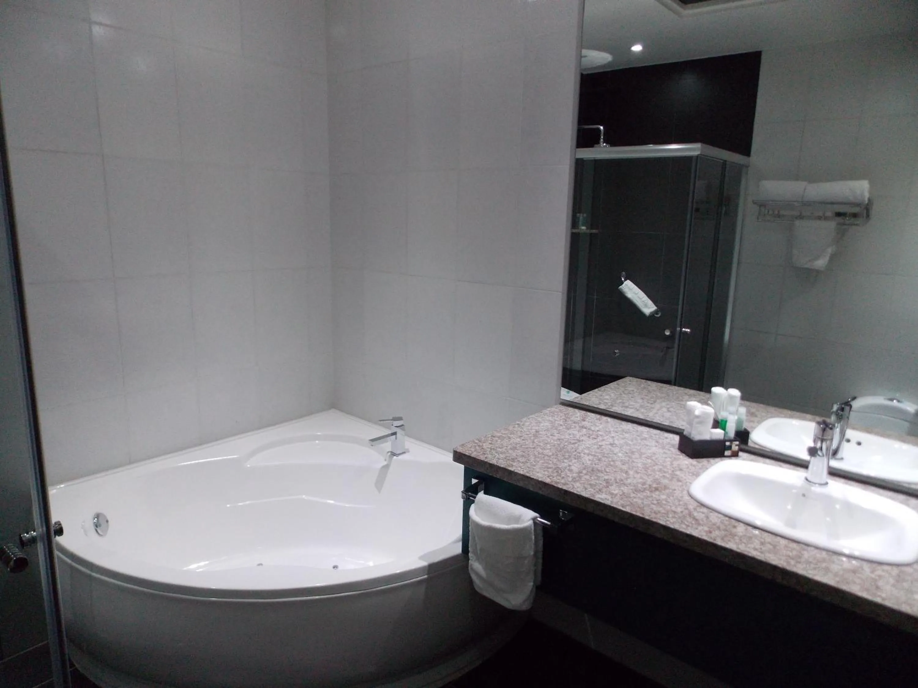 Shower in Hotel Valgus