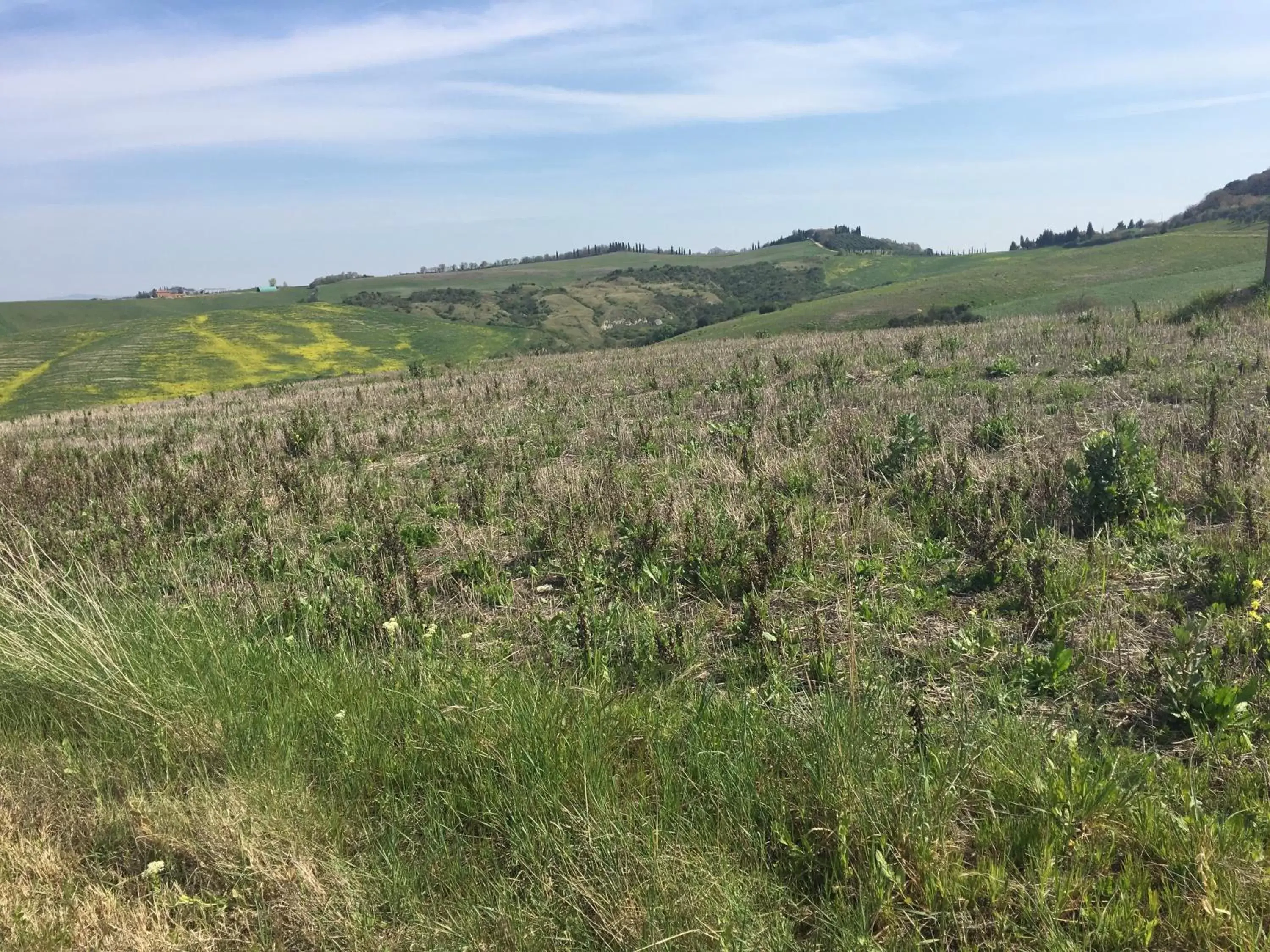 Natural Landscape in Cordella In Valdorcia Truffle and Olive Oil Resort