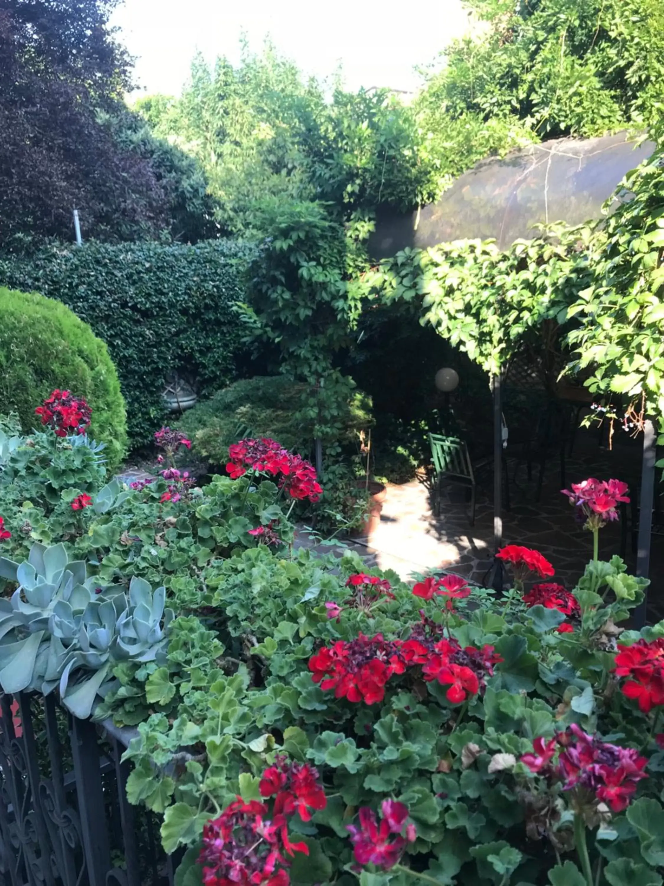 Garden in Hotel Bagliori