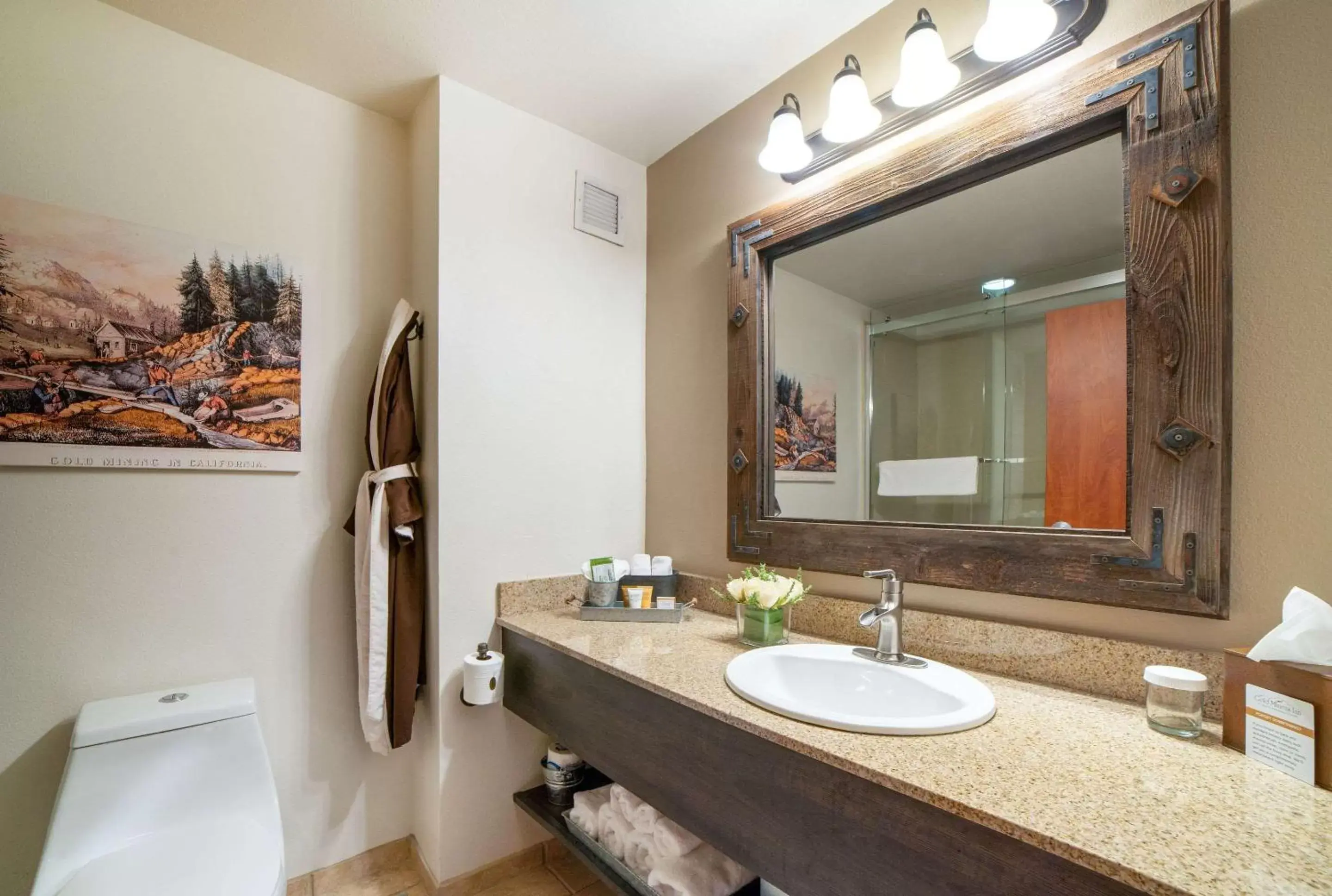 Bathroom in Gold Miners Inn, Ascend Hotel Collection