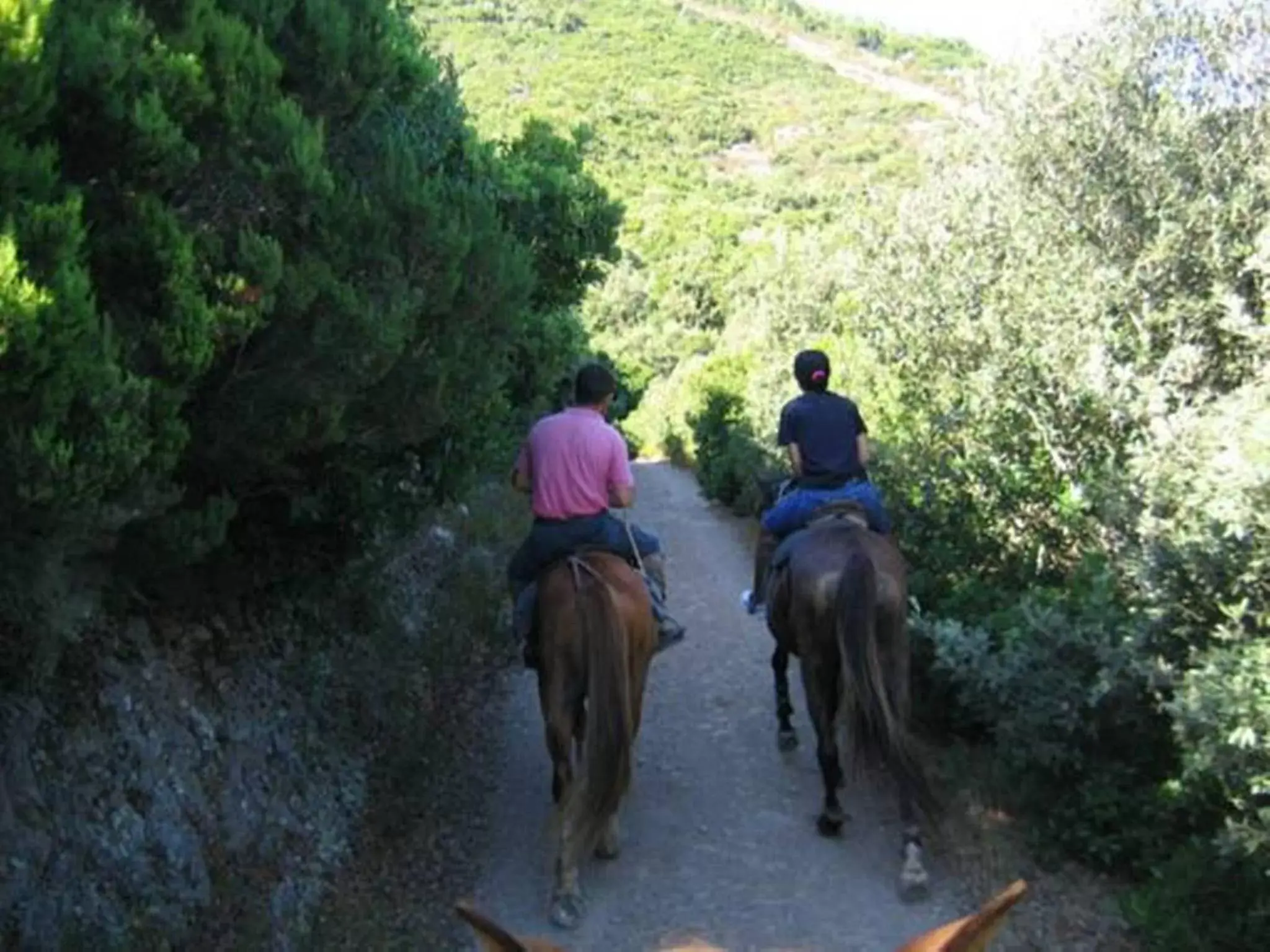 On site, Horseback Riding in B&B Annalu'