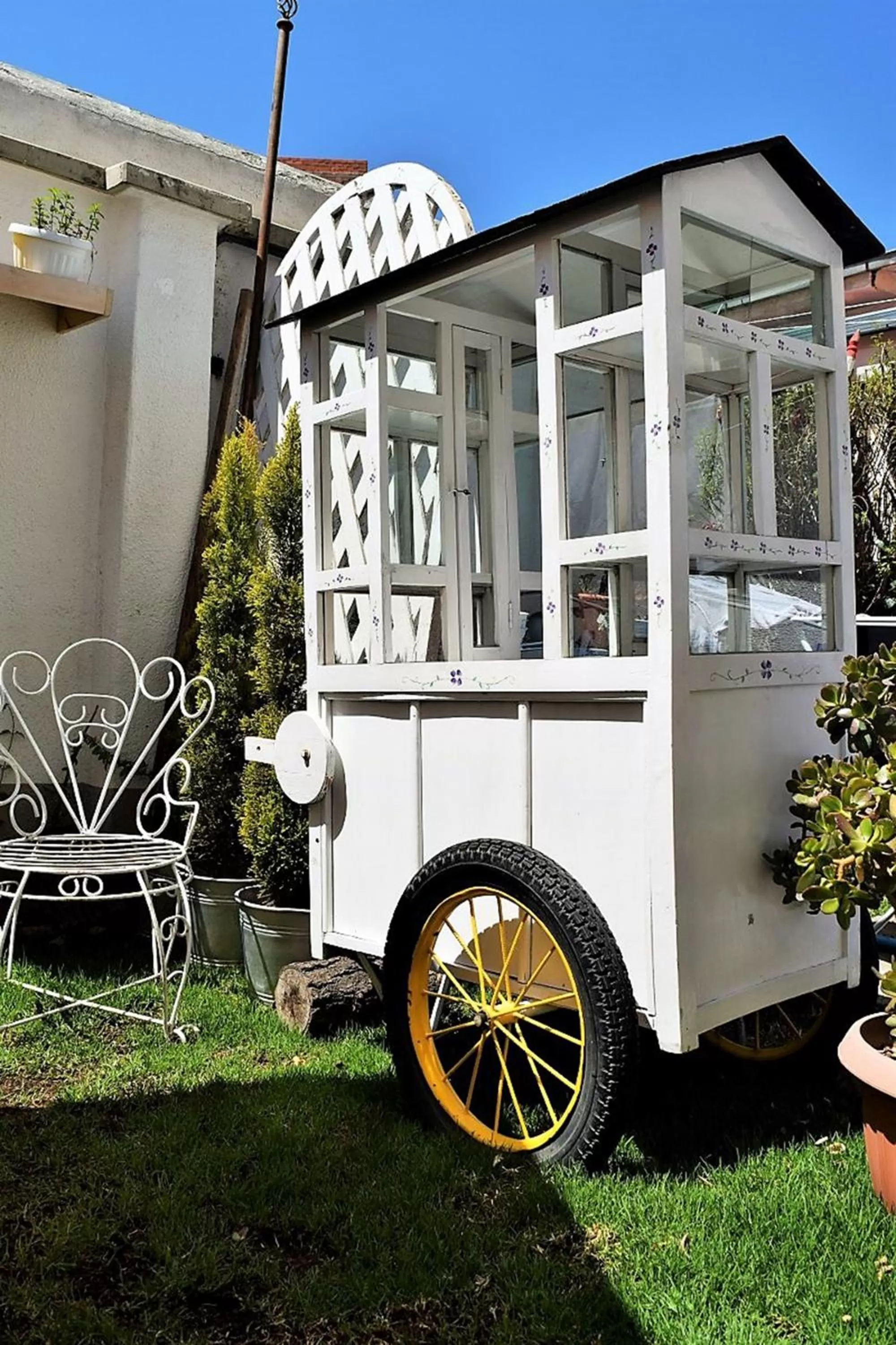 Garden in Casa Fusion Hotel Boutique