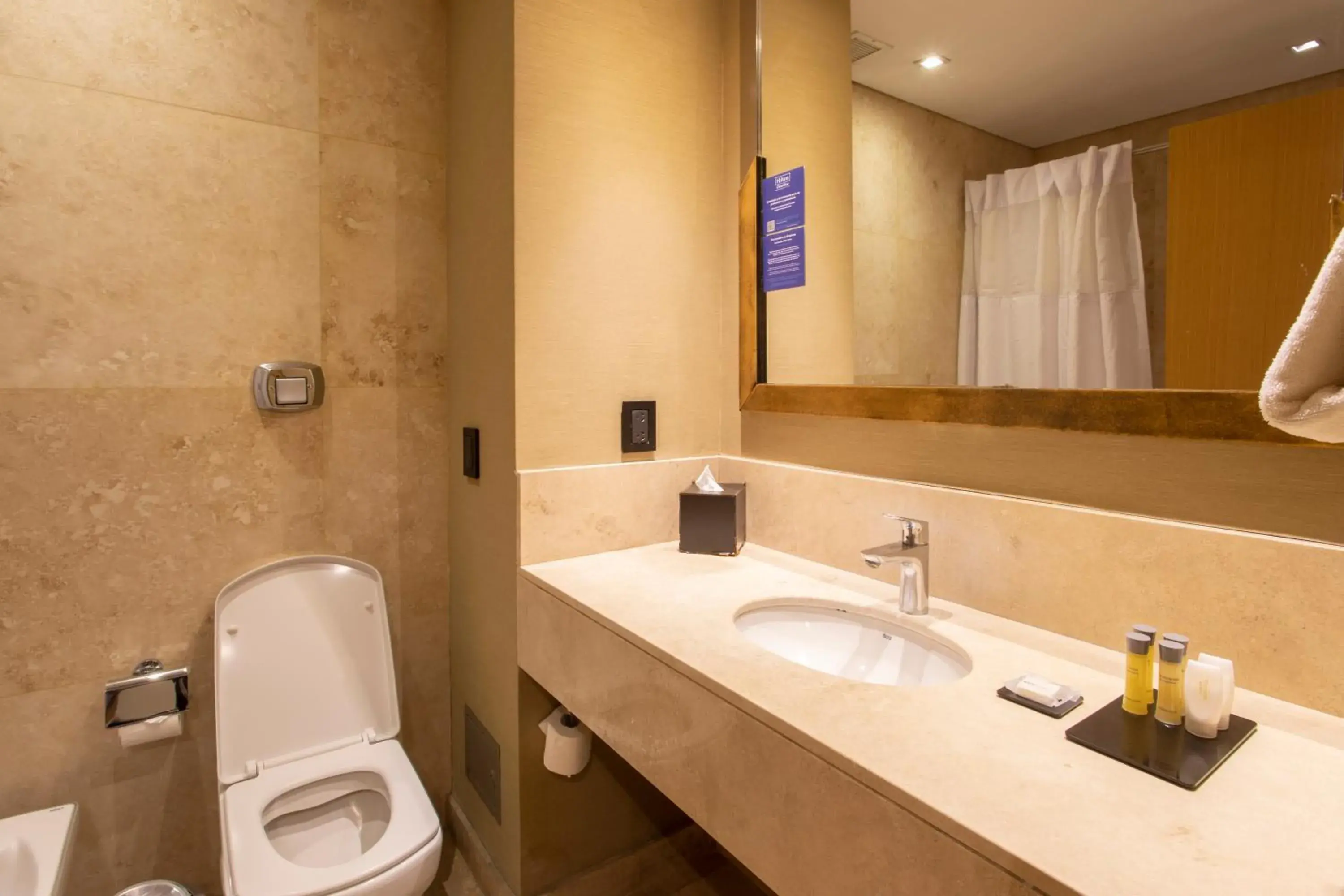 Bathroom in Hilton Garden Inn Tucuman