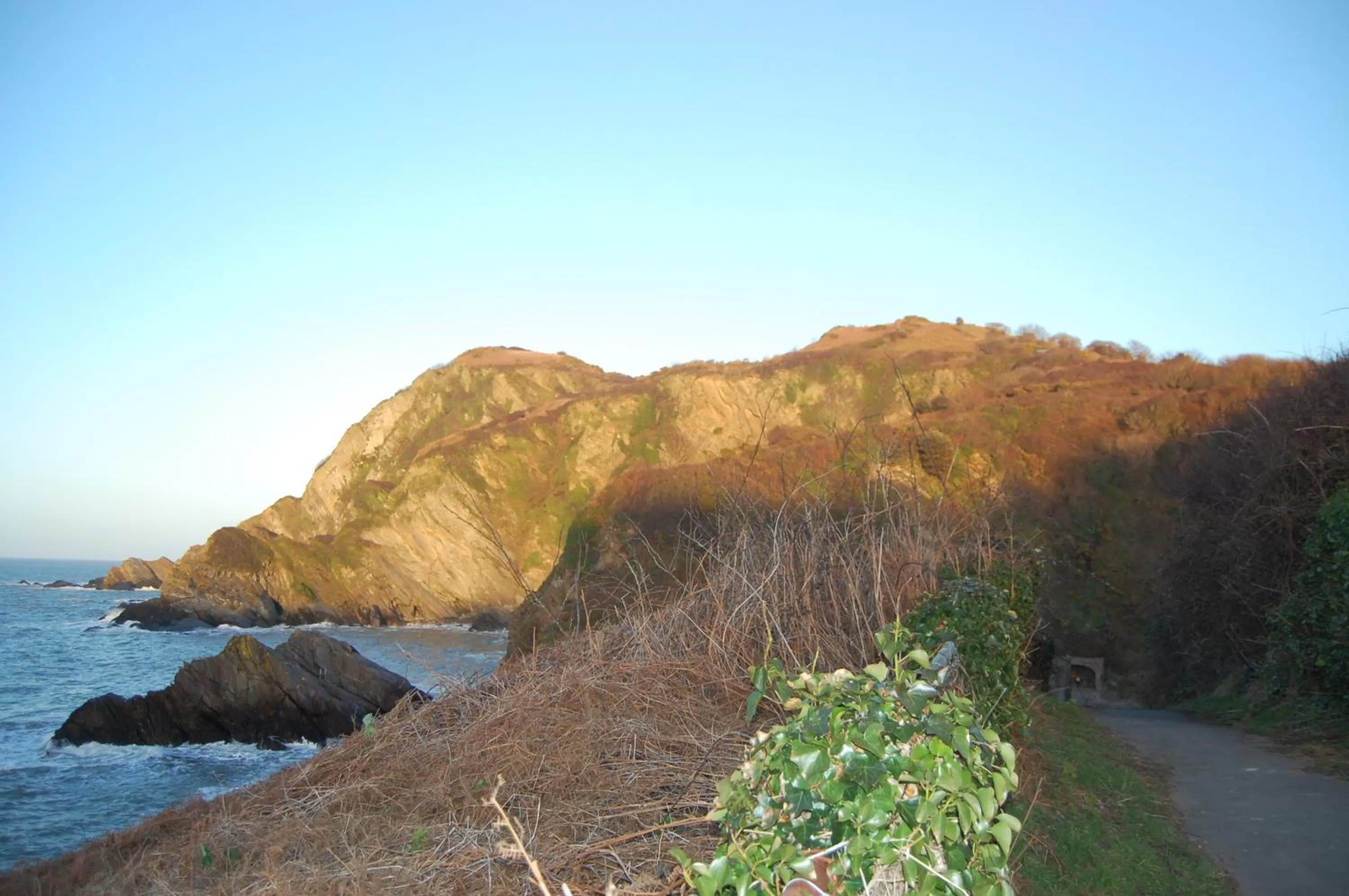 Natural landscape in The Olive Branch