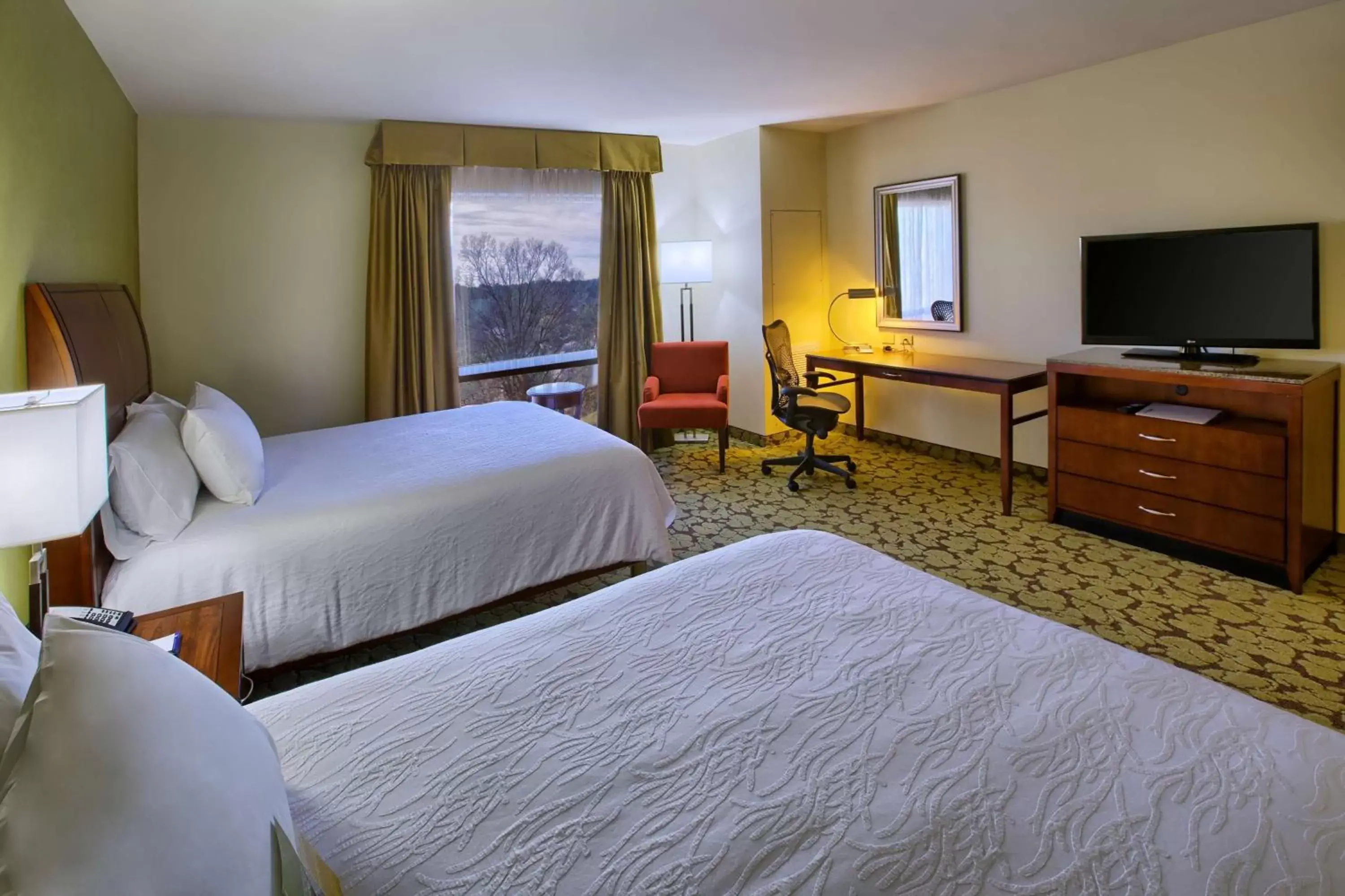 Bed, TV/Entertainment Center in Hilton Garden Inn Durham-University Medical Center