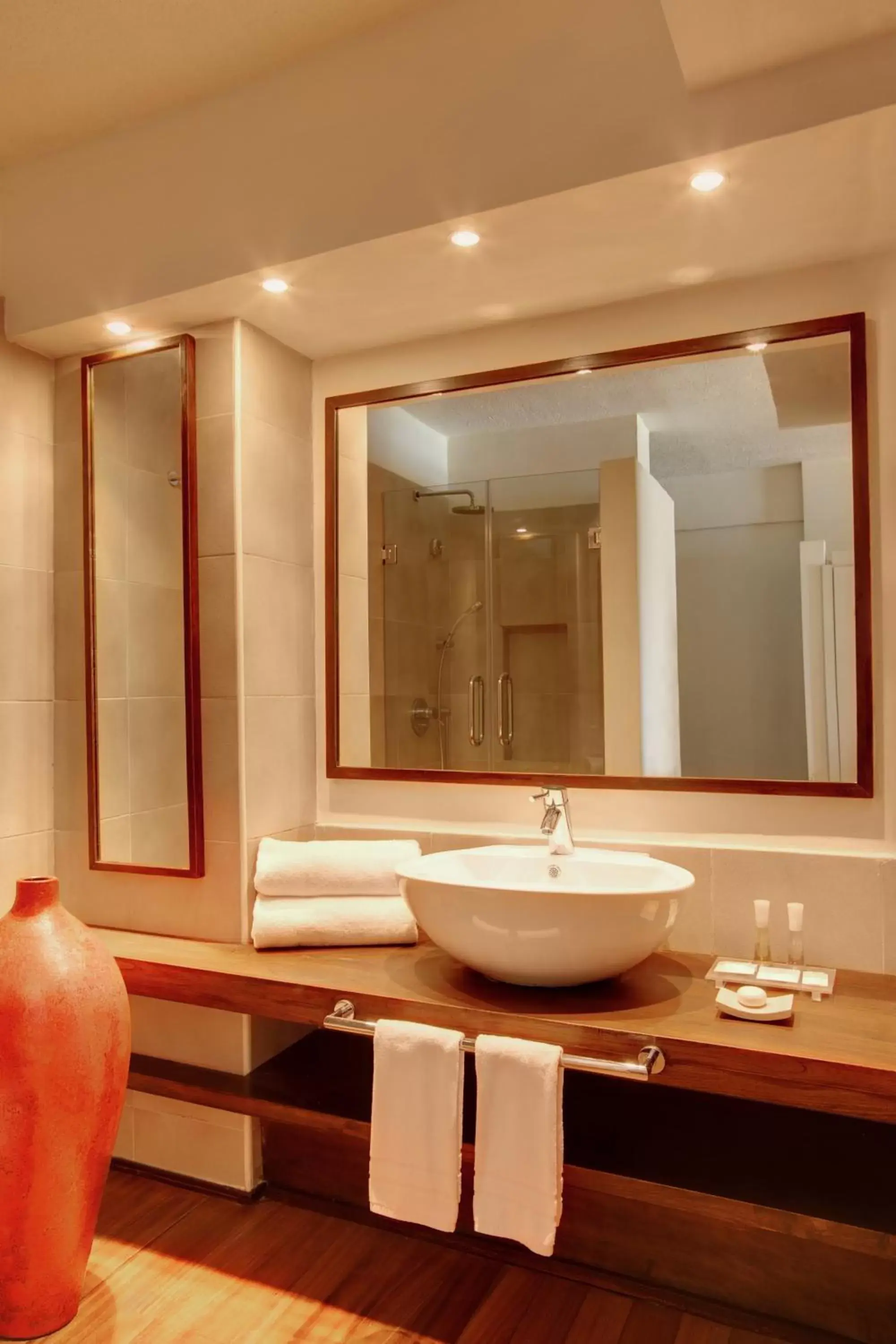 Bathroom in Solana Beach Mauritius - Adults Only