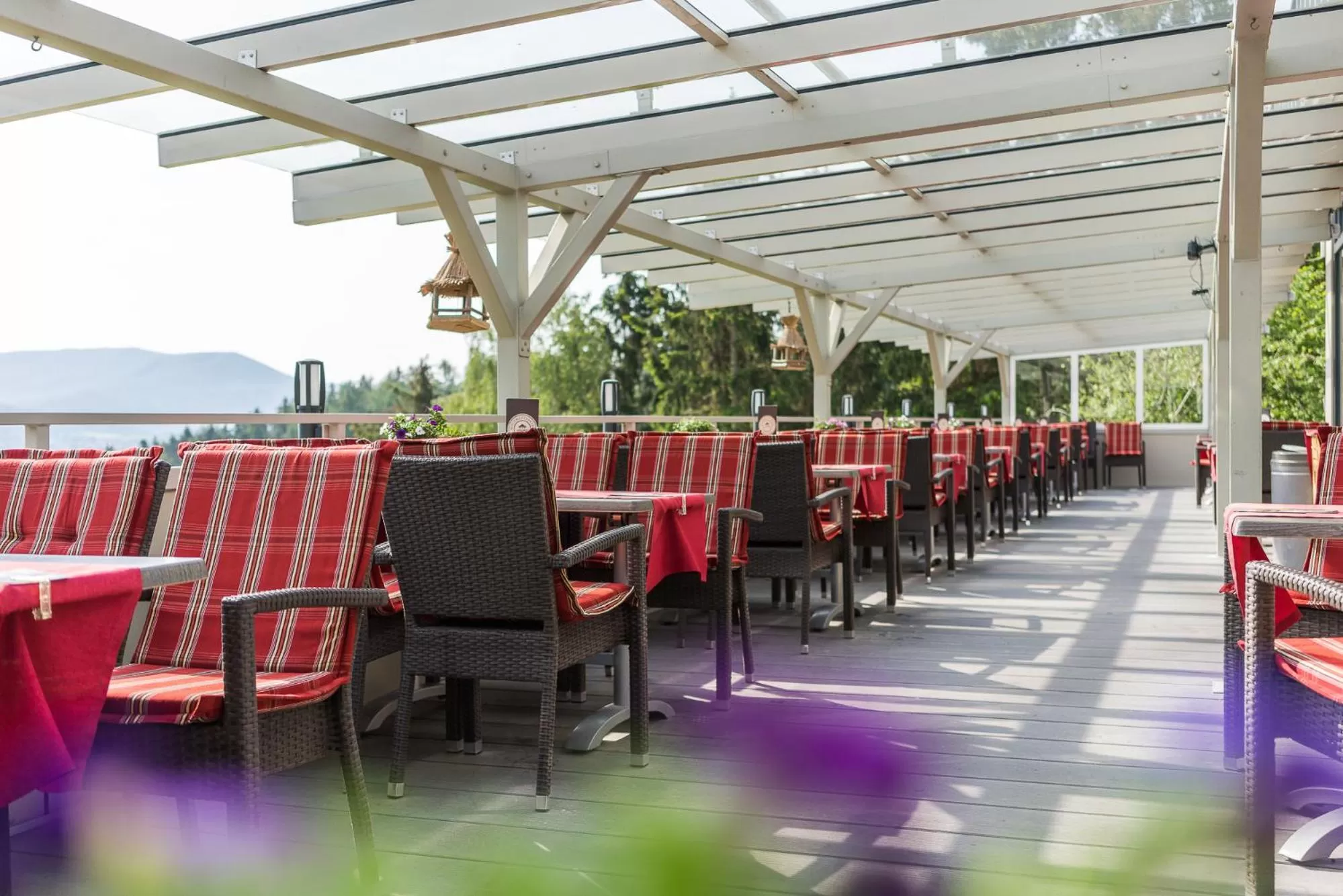 Restaurant/places to eat in Romantik Hotel Ahrenberg