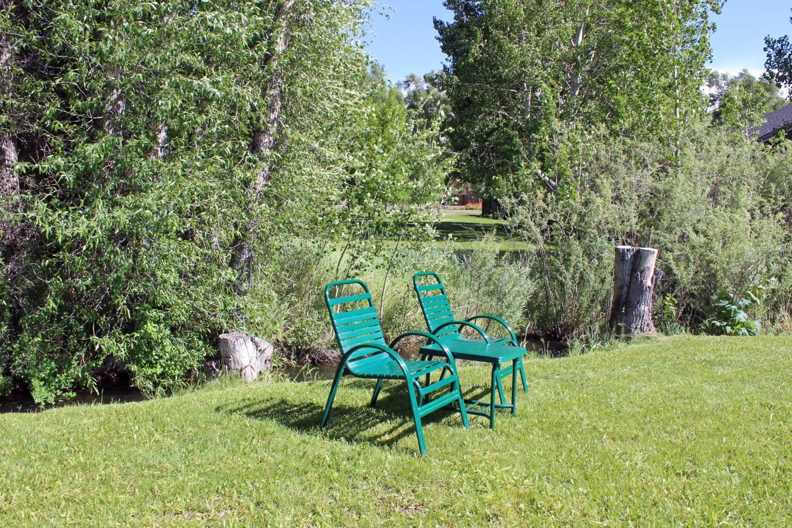 Area and facilities, Garden in Rodeway Inn Gunnison