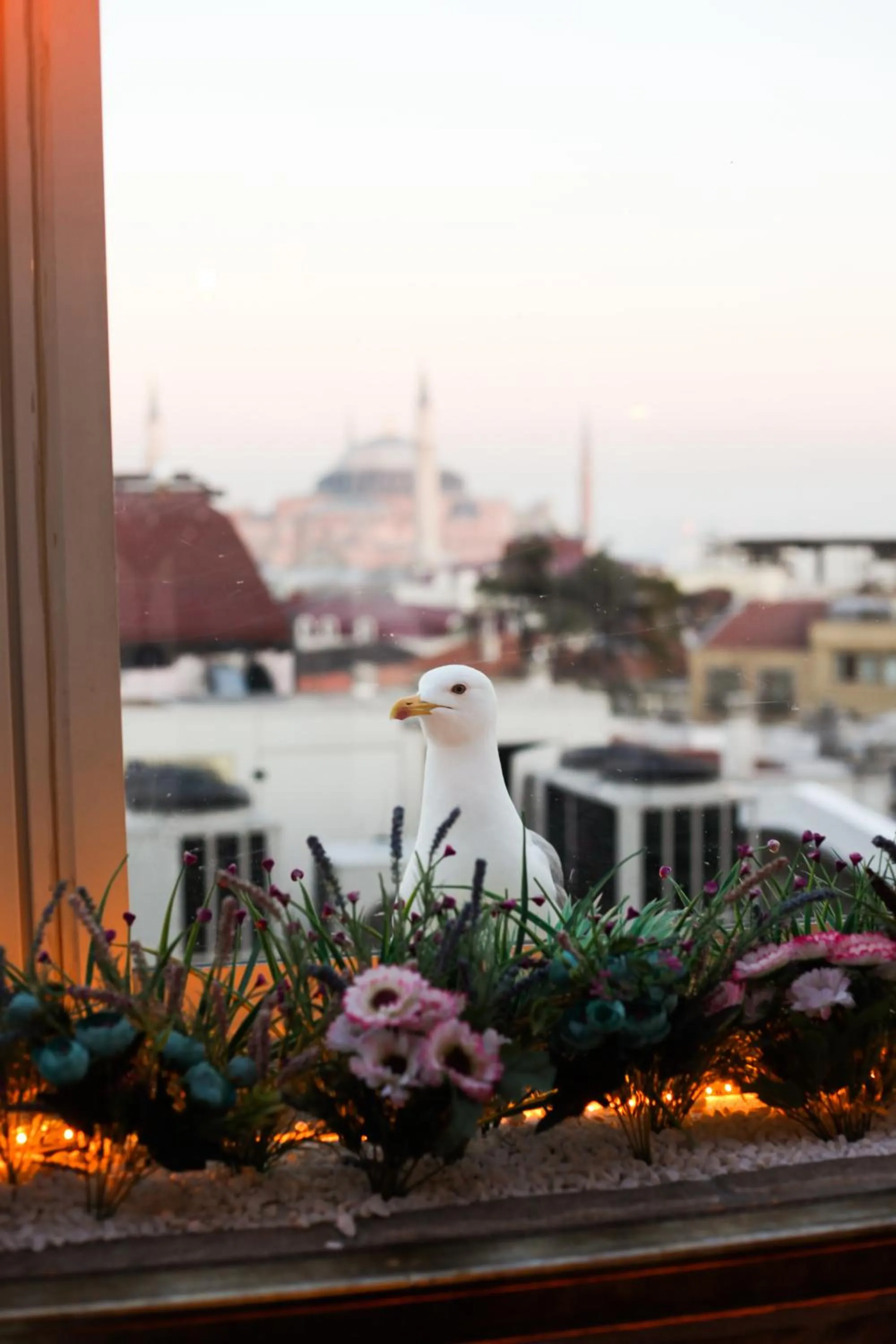 Balcony/Terrace in Great Fortune Hotel & Spa